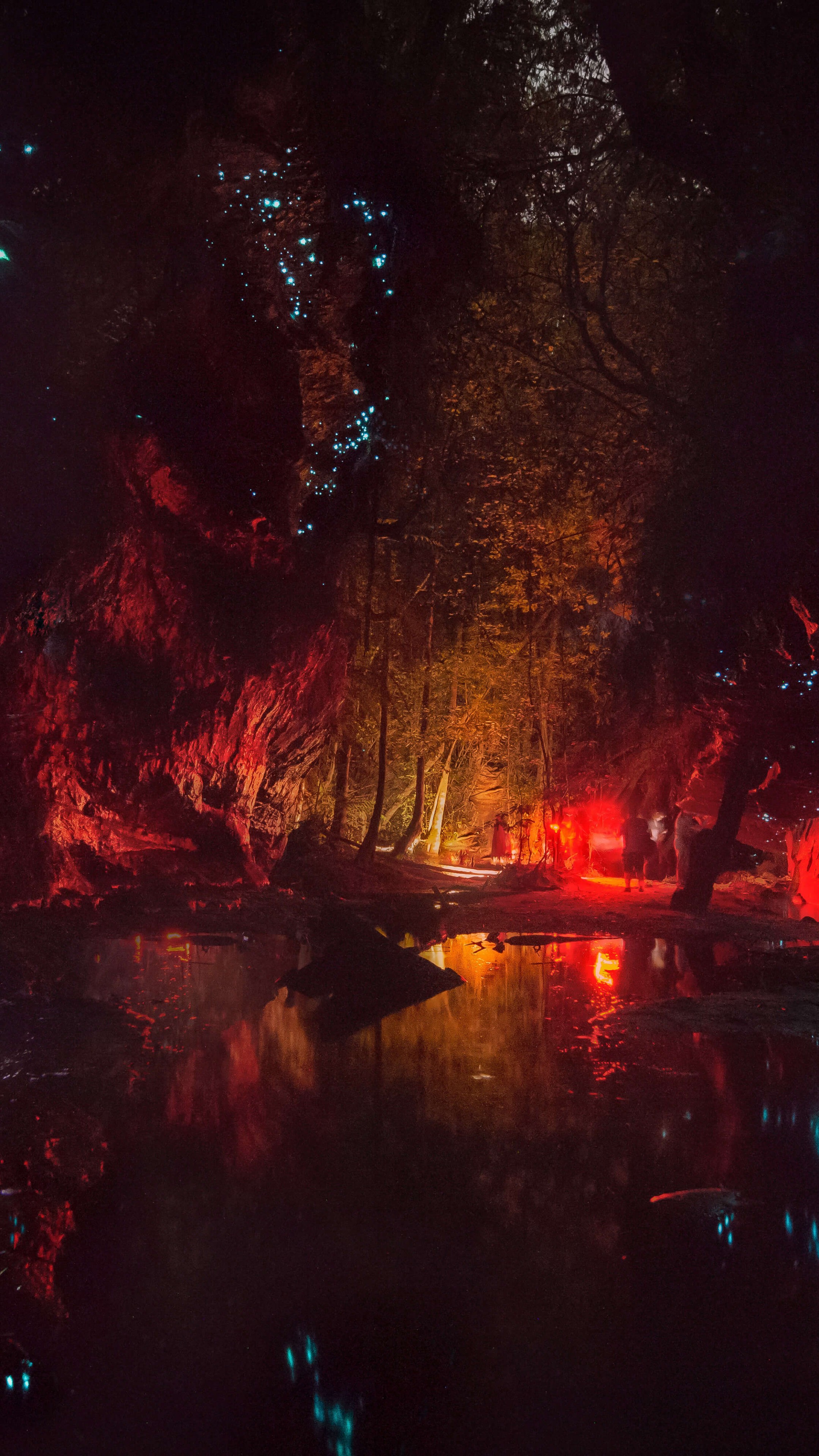 Wallpaper night, forest, dark, river, 8K, Nature