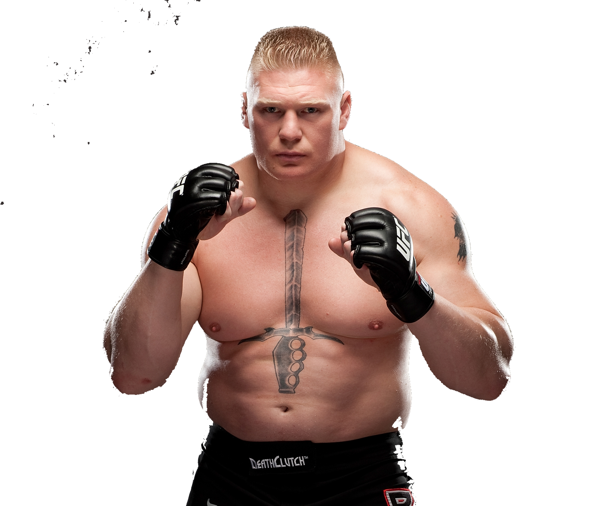 Brock Lesnar Hq Download Wallpaper