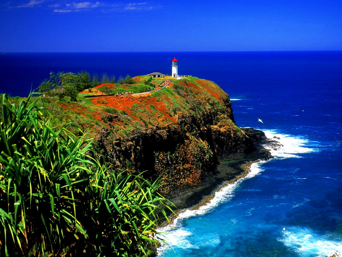 Kilauea Lighthouse, Kilauea, Summer wallpaper. TOP Free pics