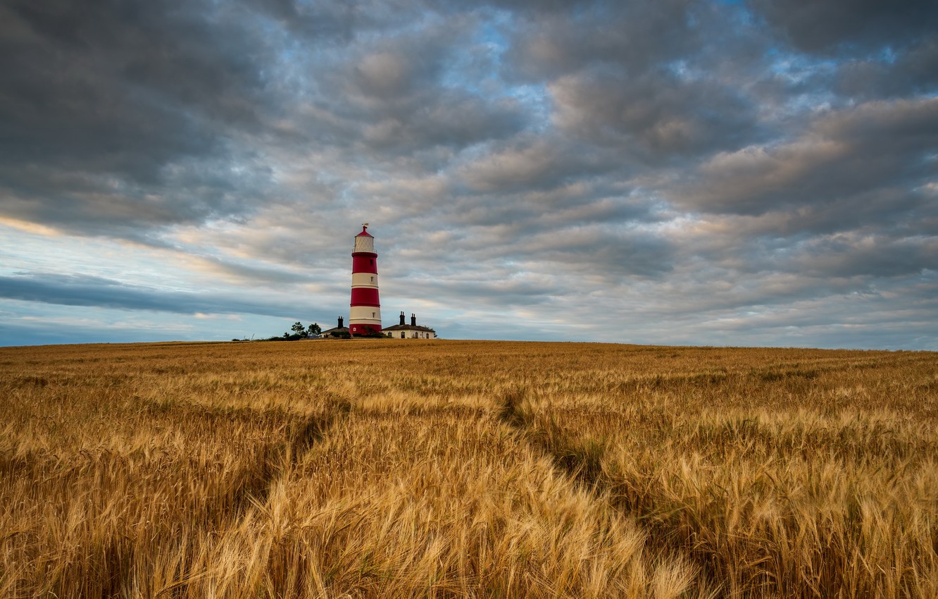 Wallpaper field, summer, lighthouse image for desktop, section пейзажи