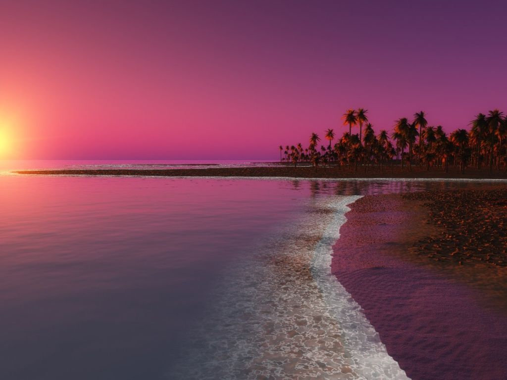 Beautiful Purple Summer wallpaper in 1024x768 resolution