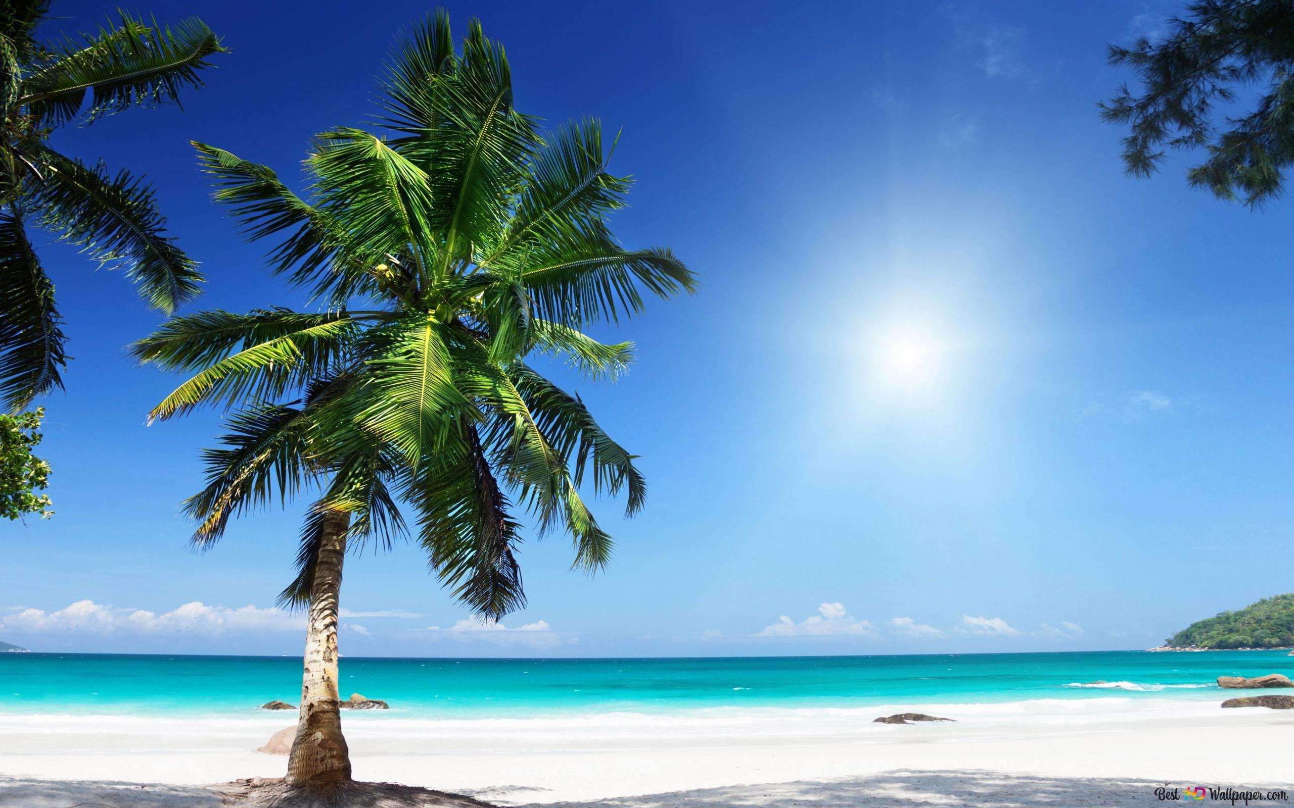 Blazing hot summer 4K wallpaper download