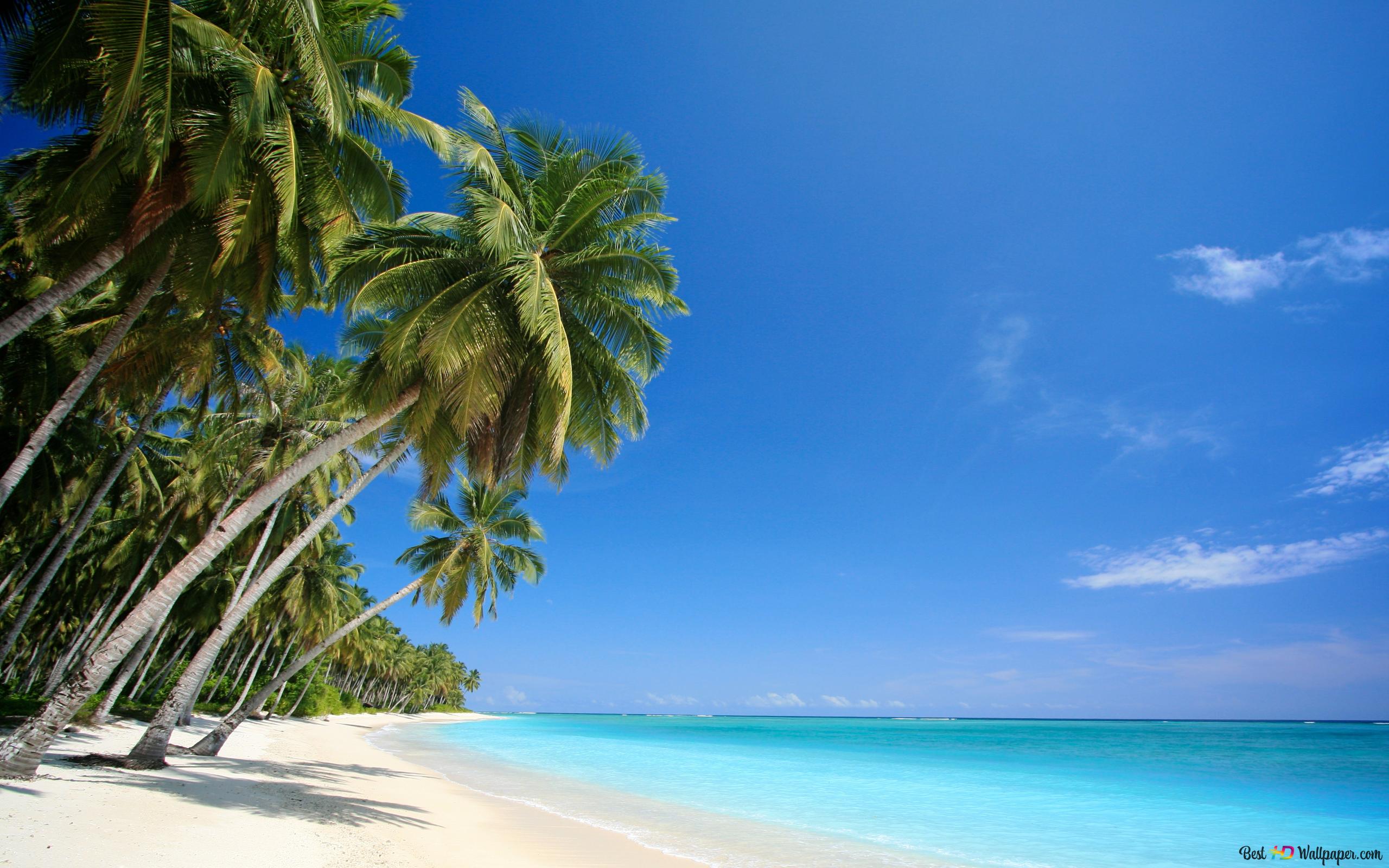 Beach and Summer 6K wallpaper download