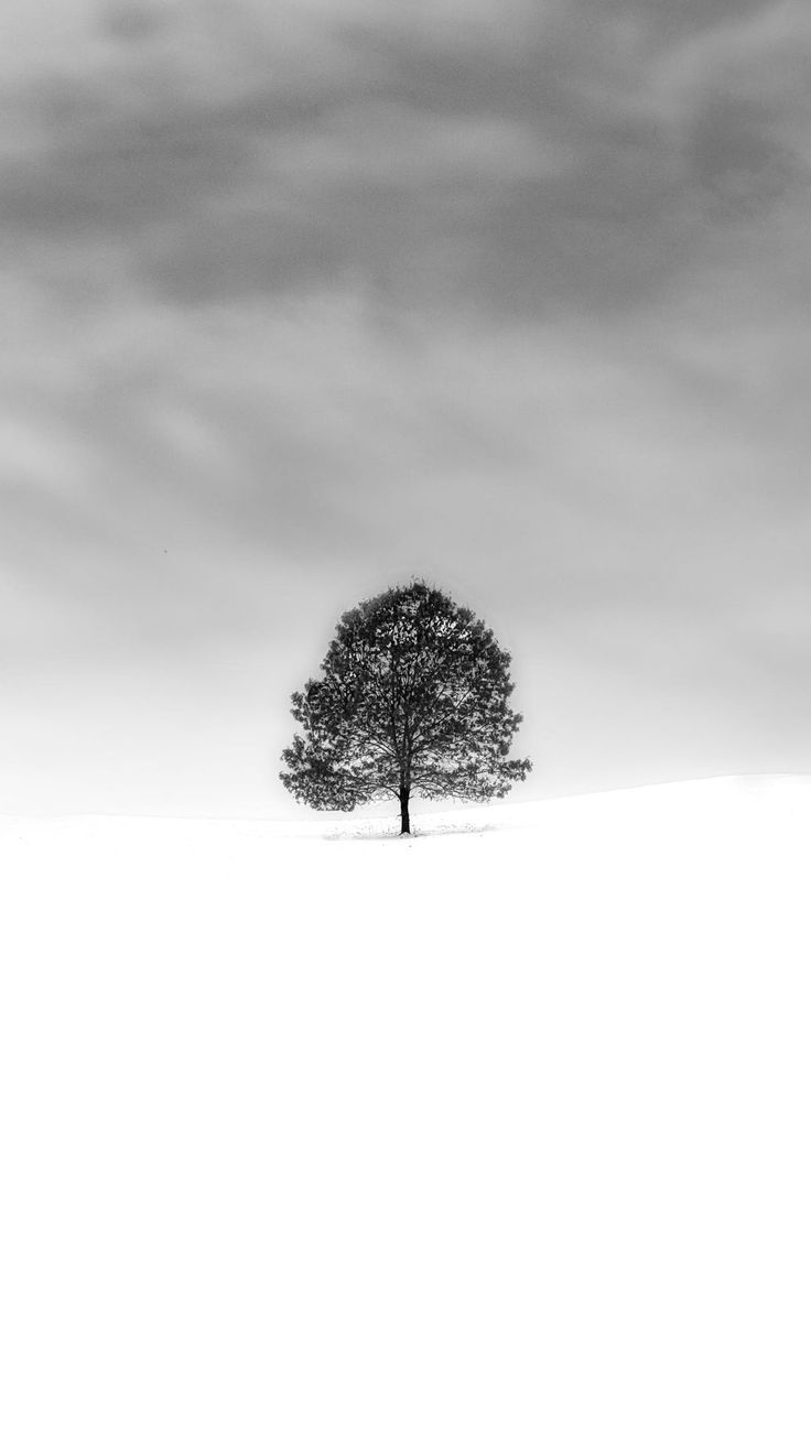 Simple iPhone wallpaper HD Homescreen background Bright snow White tree Photo lock. Wallpaper iphone quotes background, Simple iphone wallpaper, iPhone wallpaper