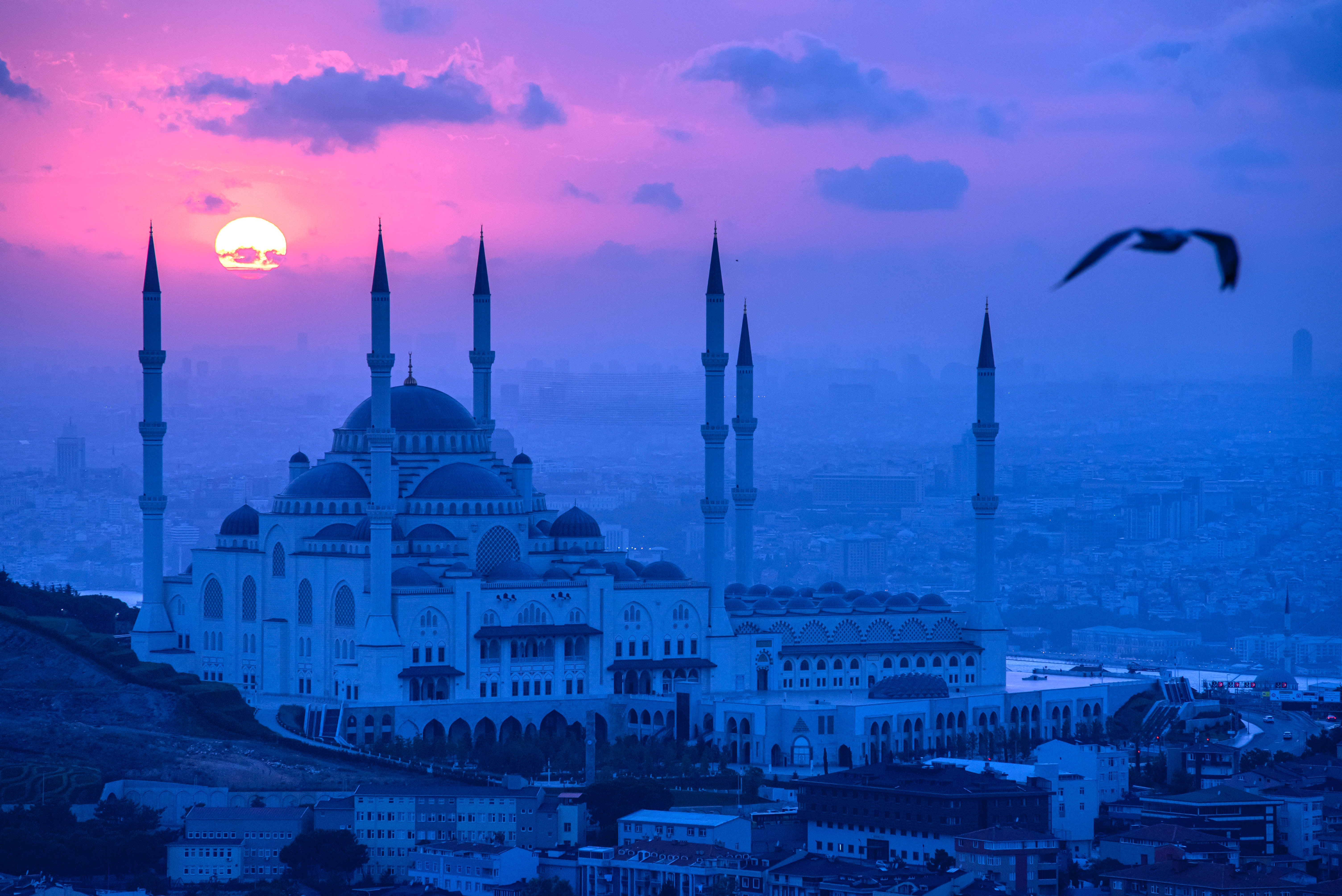 Blue Mosque Photo, Download The BEST Free Blue Mosque & HD Image