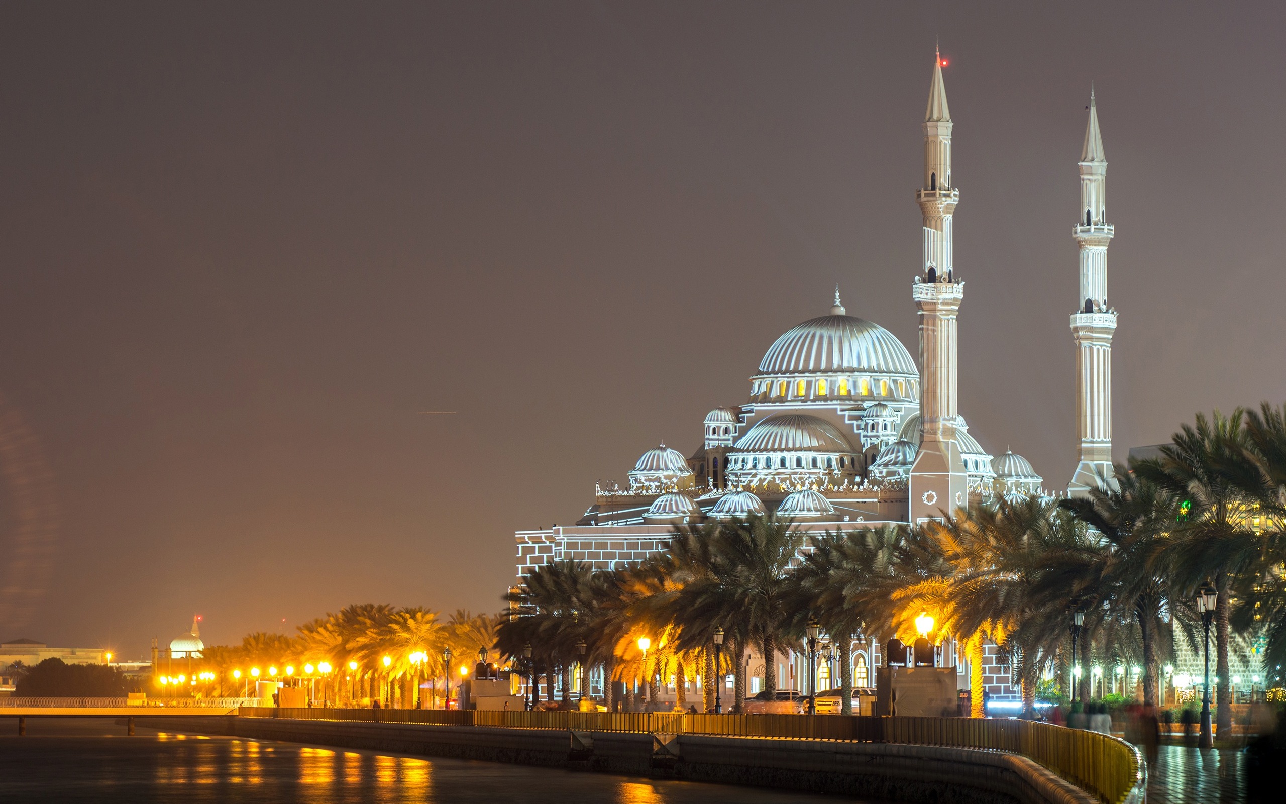 Download wallpaper Al Noor Mosque, Sharjah, United Arab Emirates, night, lights, beautiful mosque, Ottoman architecture, minarets for desktop with resolution 2560x1600. High Quality HD picture wallpaper