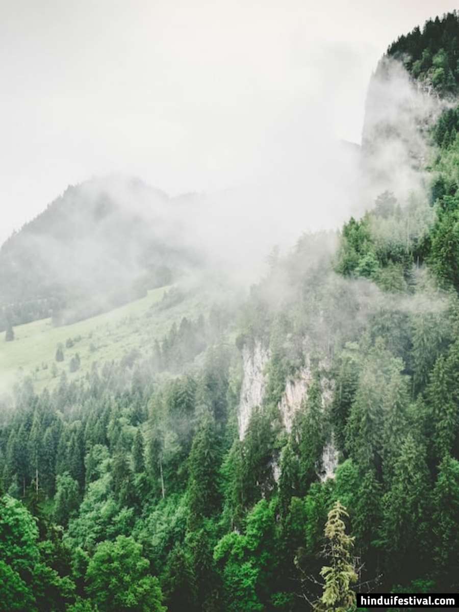 Nature Wallpaper Download 4k Phone Background For Free