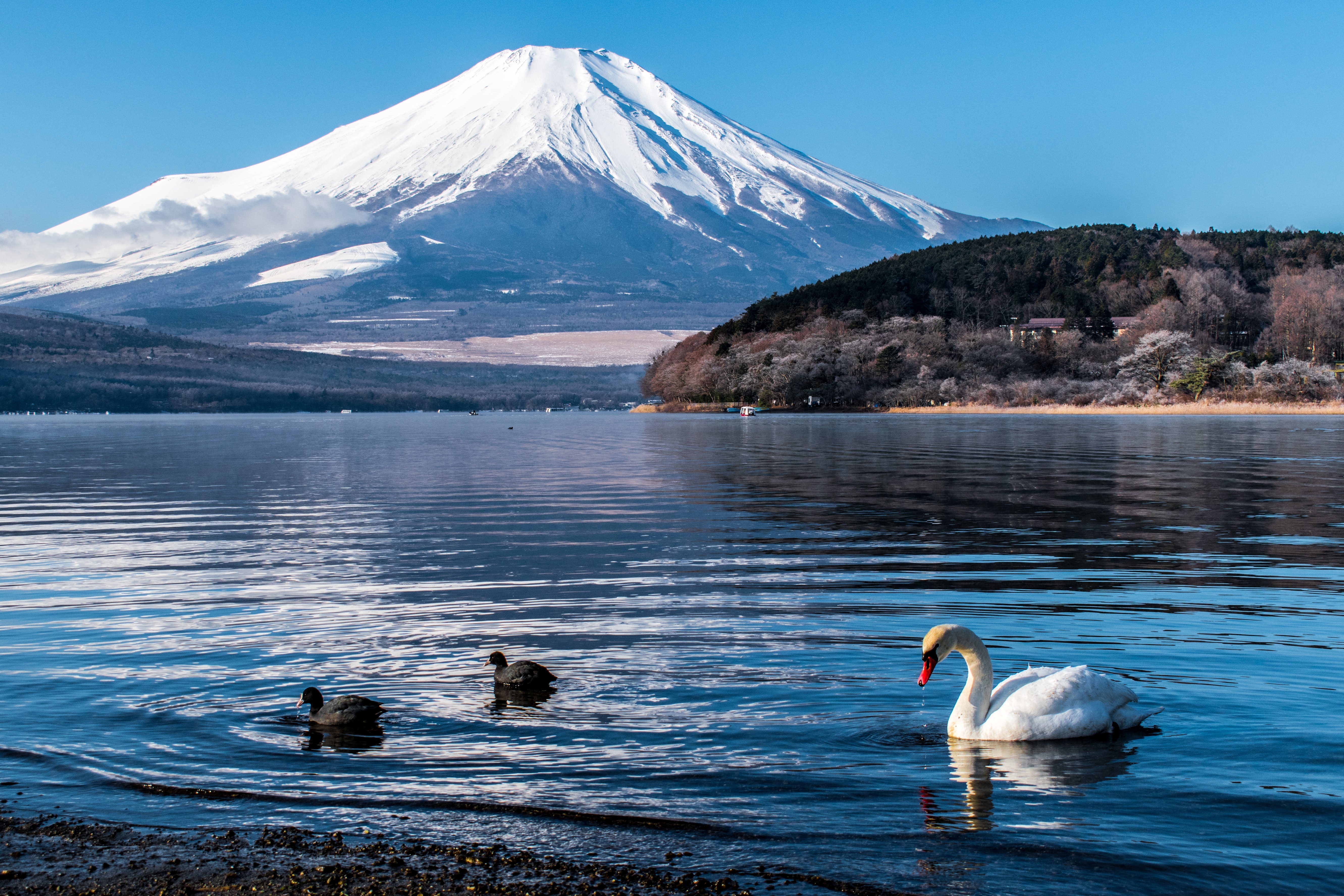 Mount Fuji Photo, Download The BEST Free Mount Fuji & HD Image