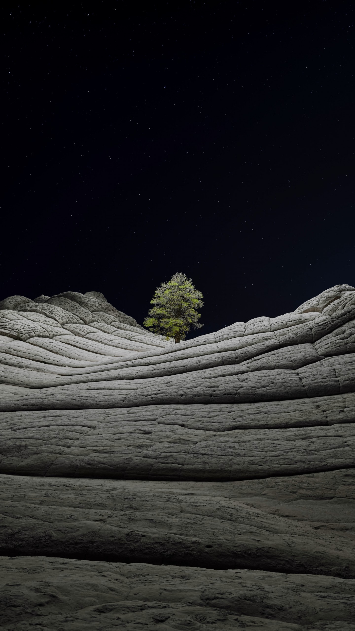 Wallpaper iOS 14.2, Desert, Tree, Night, 4K, OS