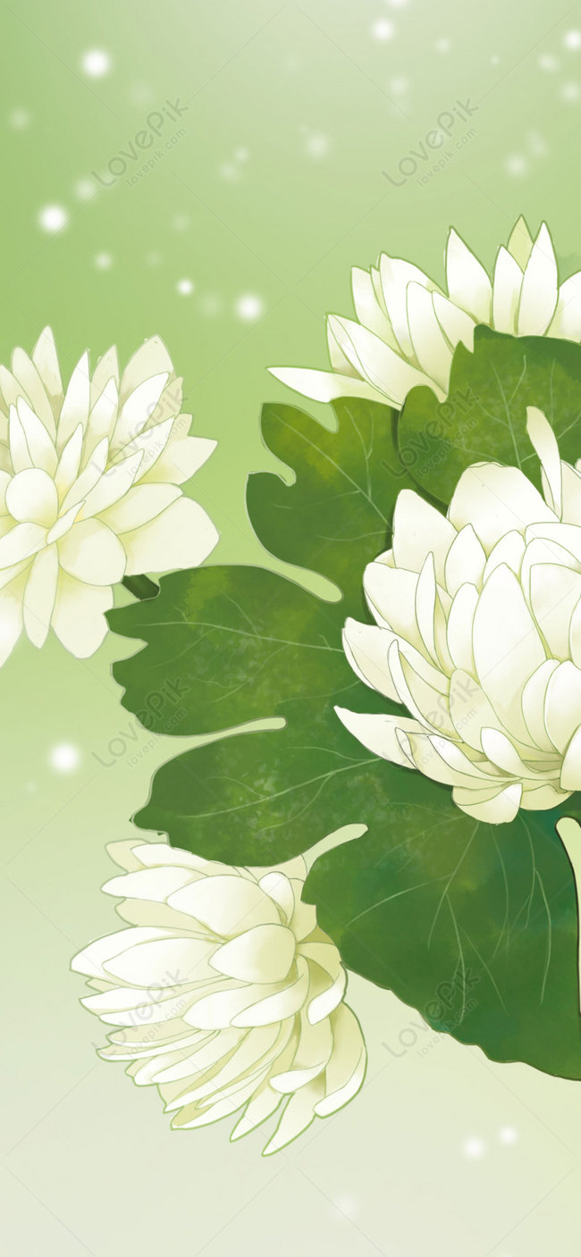 Plant Mobile Phone Wallpaper Image Free Download