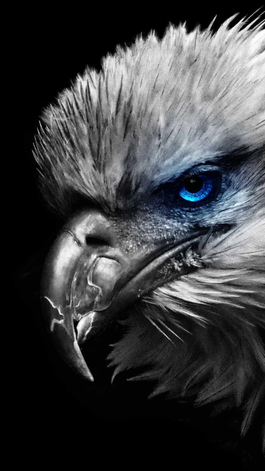 Old Eagle IPhone Wallpaper Wallpaper, iPhone Wallpaper