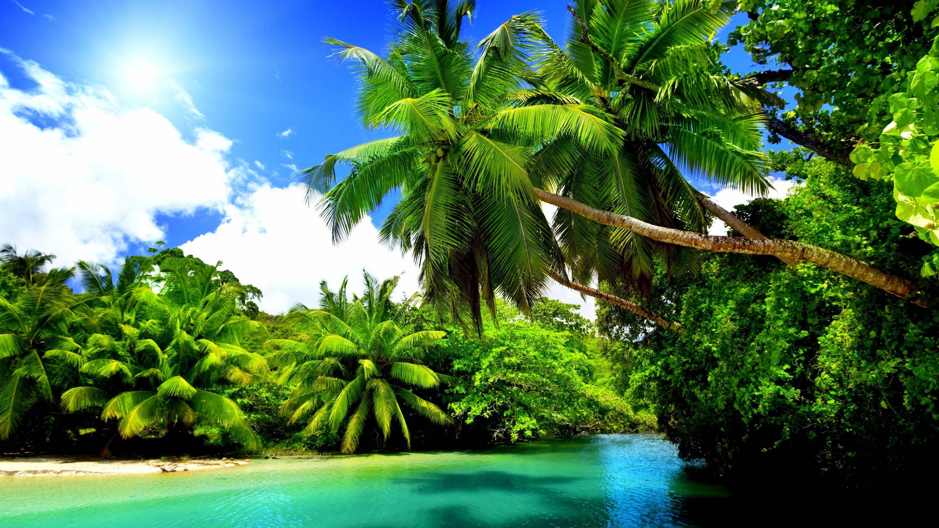 4k Nature PC Wallpapers Wallpaper Cave 4k Nature PC Wallpapers Wallpaper Cave