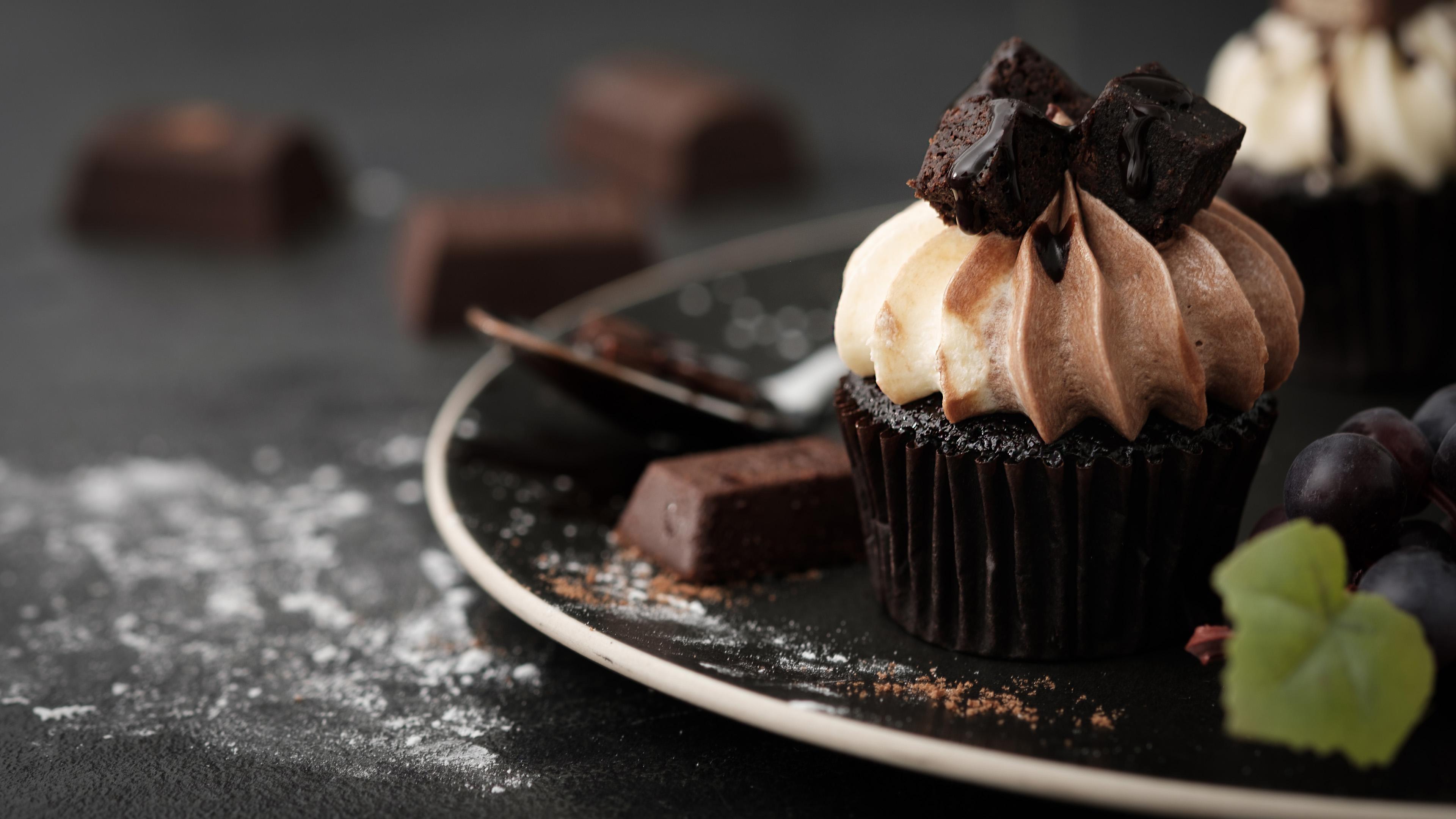 Chocolate Cupcake [4K]
