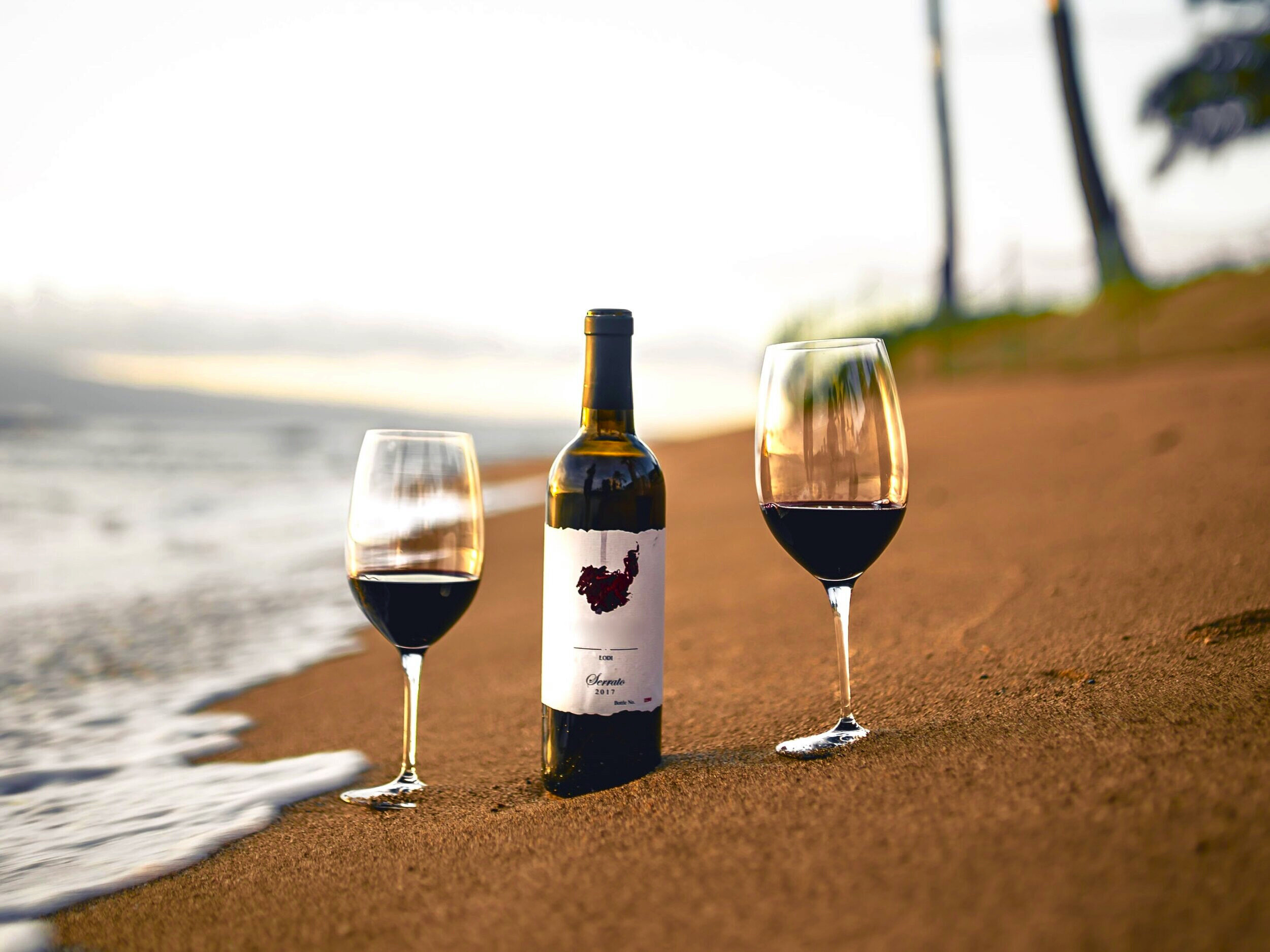 Refreshing Red Wines to Enjoy this Summer