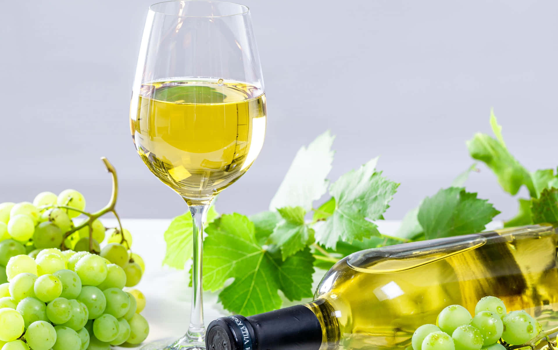 Download Enjoy a chilled glass of white wine in the warm summer sun. Wallpaper