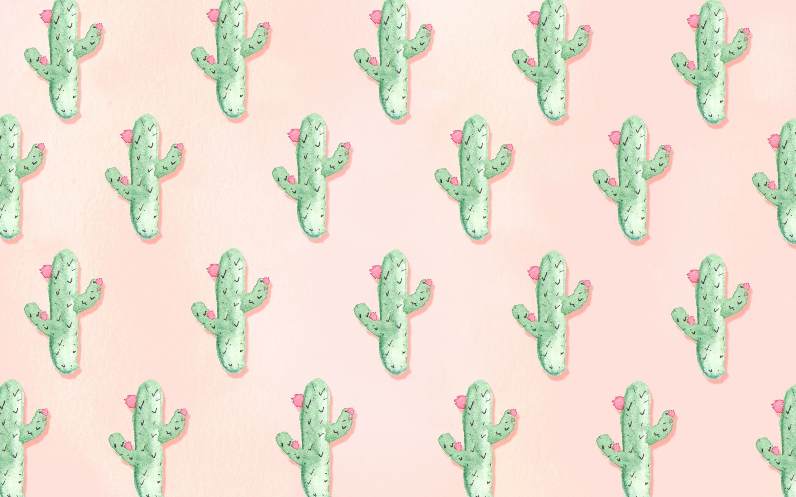 Pretty Cactus Wallpaper
