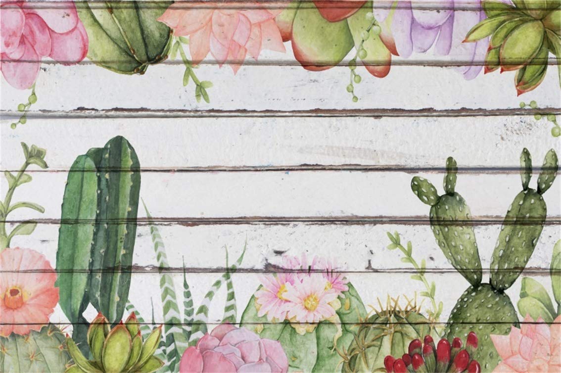Amazon.com, Leyiyi 6x4ft Grunge Graffiti Cactus Backdrop Rustic Wooden Board Banner Western Desert Saguaros Background Cowboy Rock Music Watercolor Summer Flora Kids Birthday Portrait Studio Prop Vinyl Wallpaper