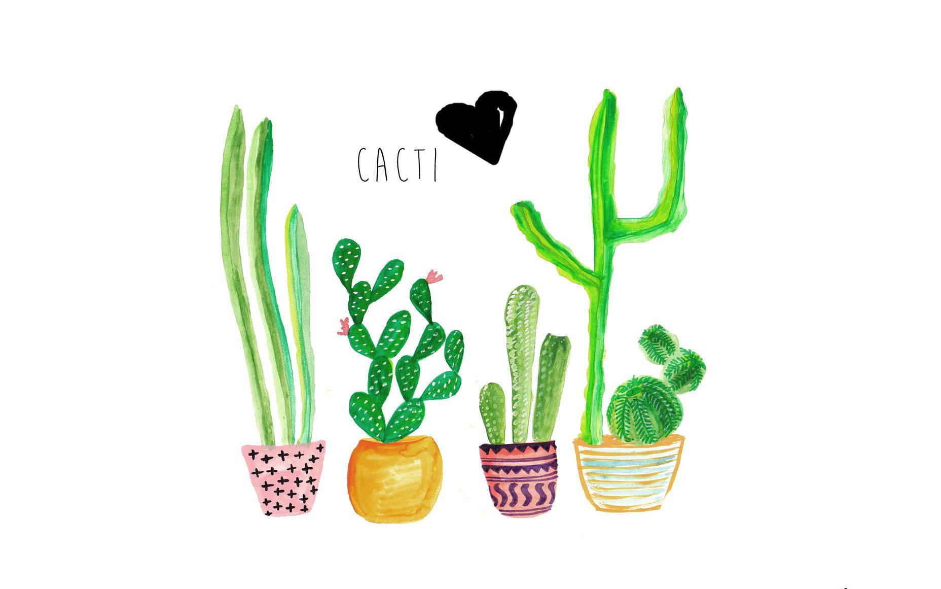 Download Cactus Wallpaper