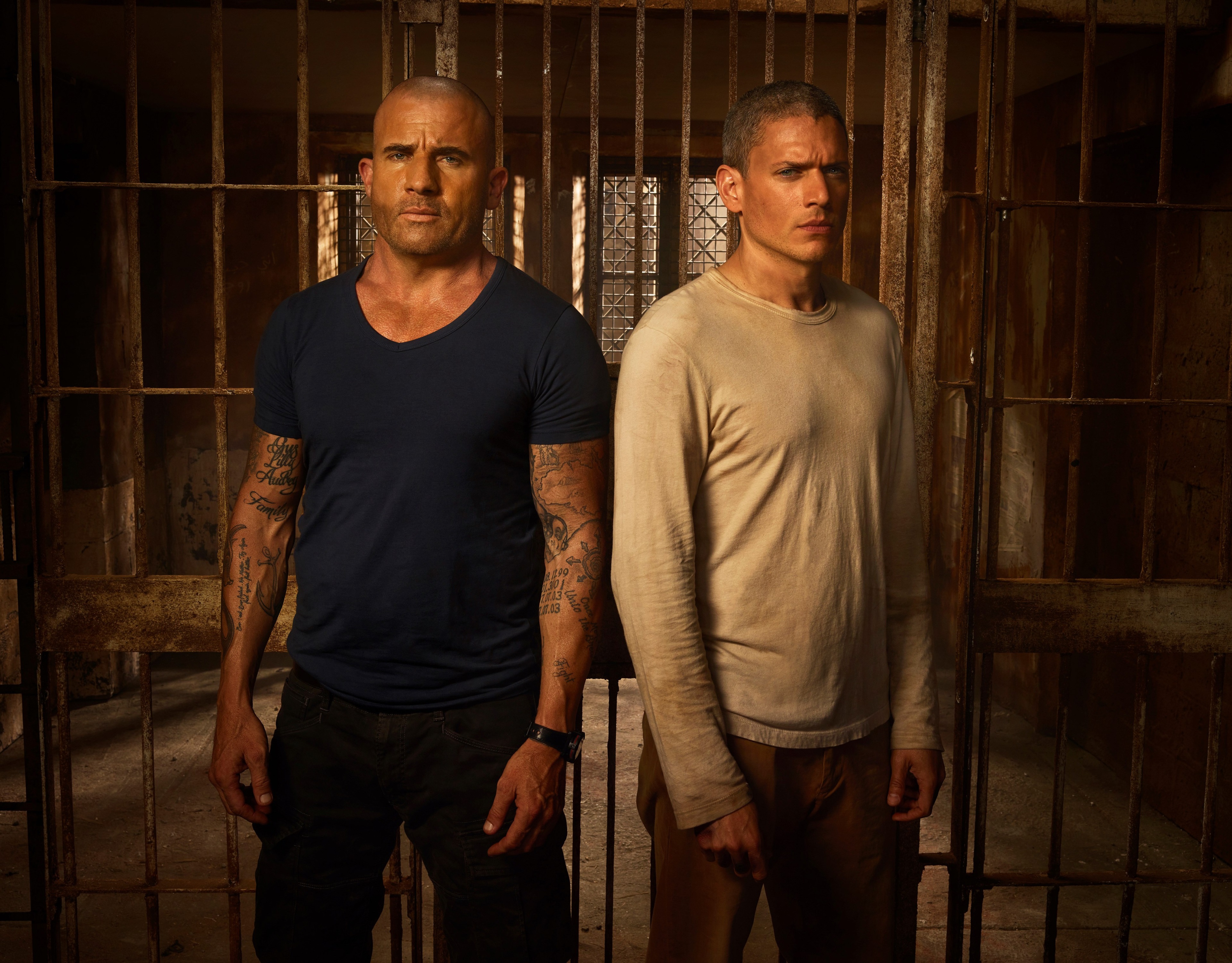 prison break, wentworth miller, tv shows, 4k, HD Gallery HD Wallpaper