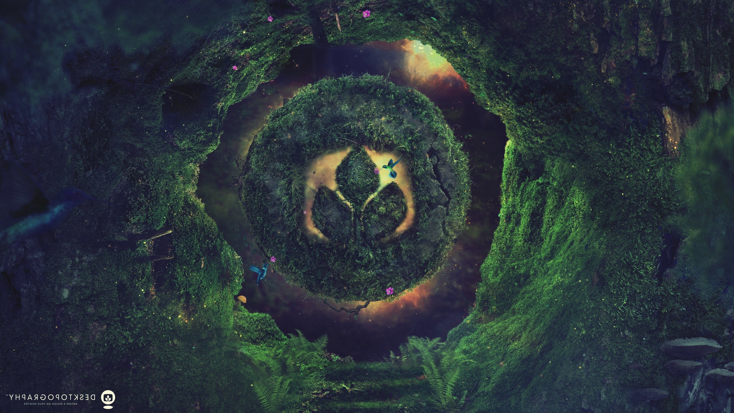 Wallpaper, forest, digital art, nature, logo, jungle, Desktopography, undergrowth, darkness, screenshot, 2560x1440 px, habitat, natural environment, computer wallpaper 2560x1440