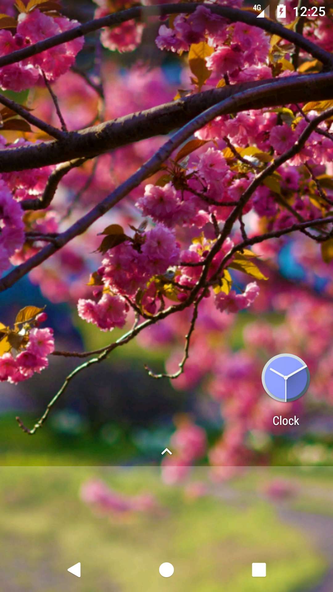 Spring Wallpaper HD Free:Amazon.com:Appstore for Android