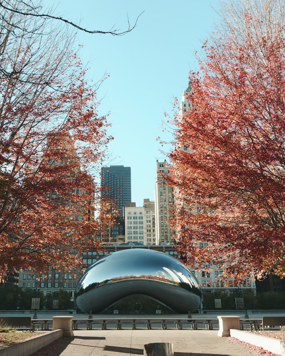 Chicago Bean Picture. Download Free Image