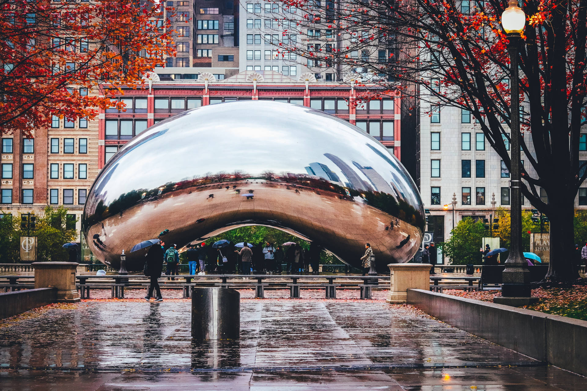 Download The Bean Chicago Autumn Leaves Wallpaper