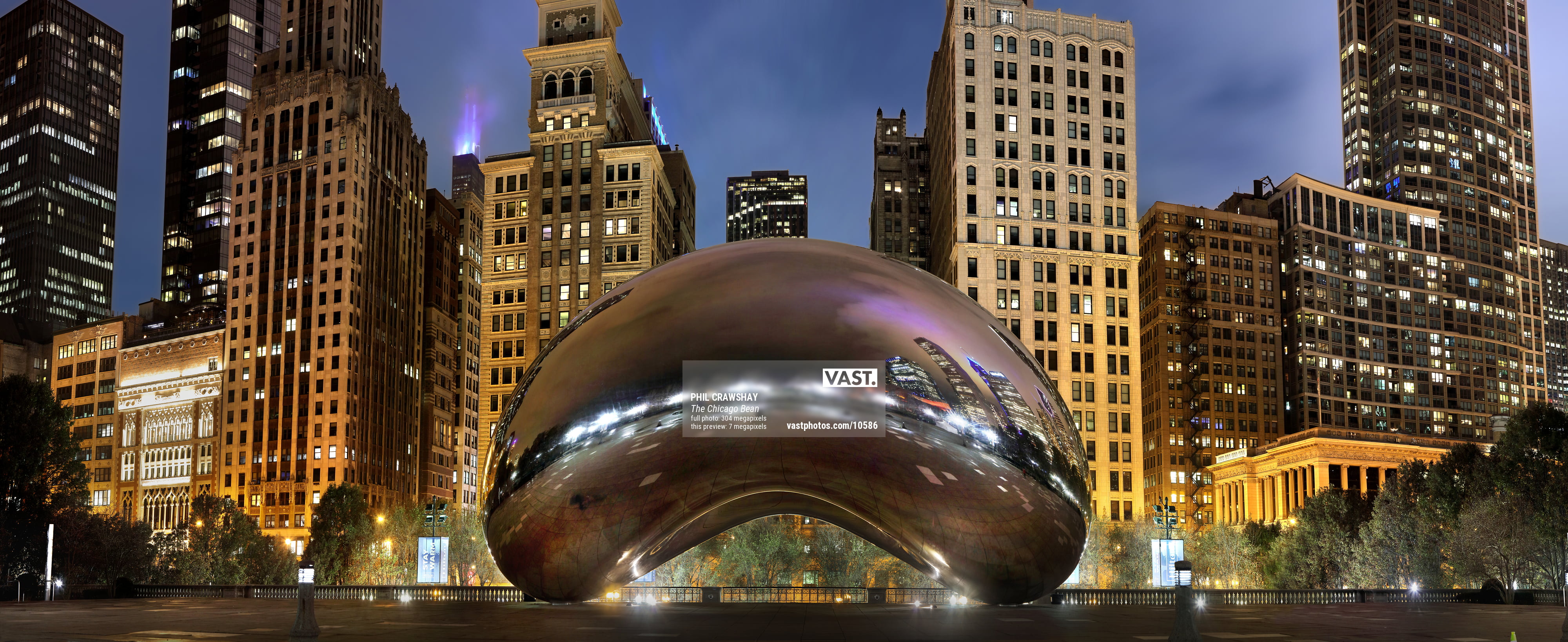 Photos of the Chicago Bean