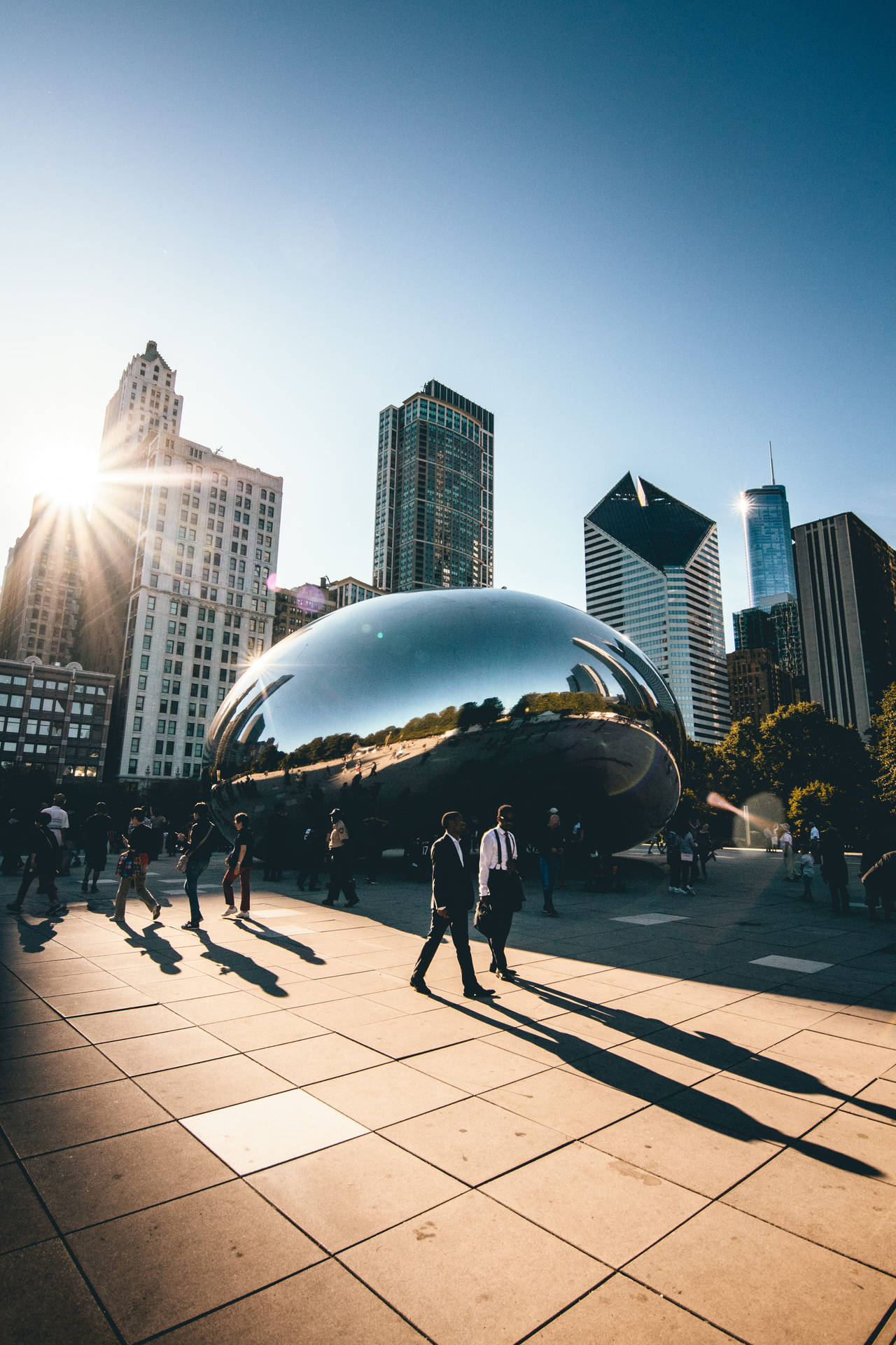 Download Sunny The Bean Chicago Wallpaper