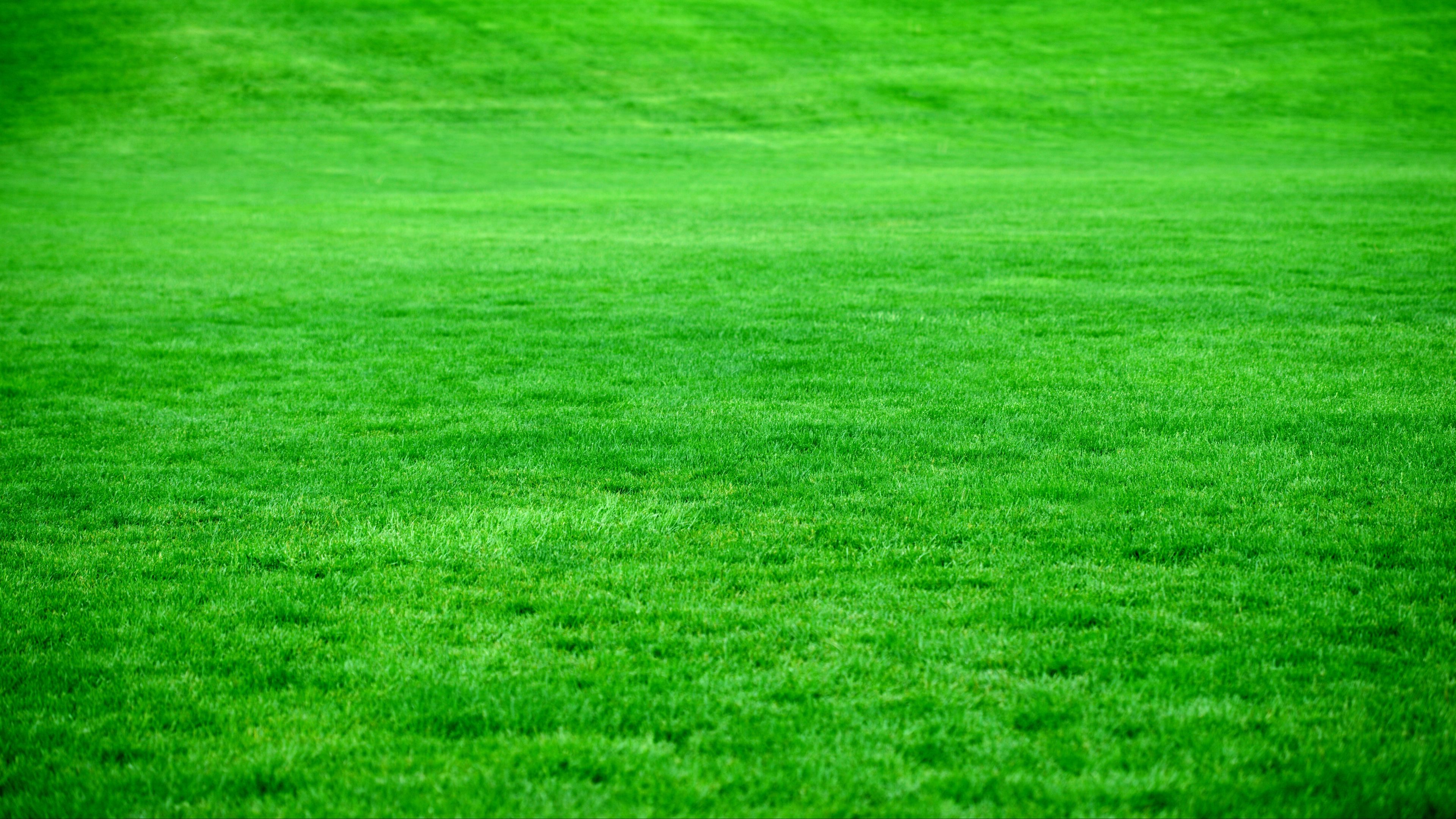wallpaper 3840x2160 grass, lawn, green