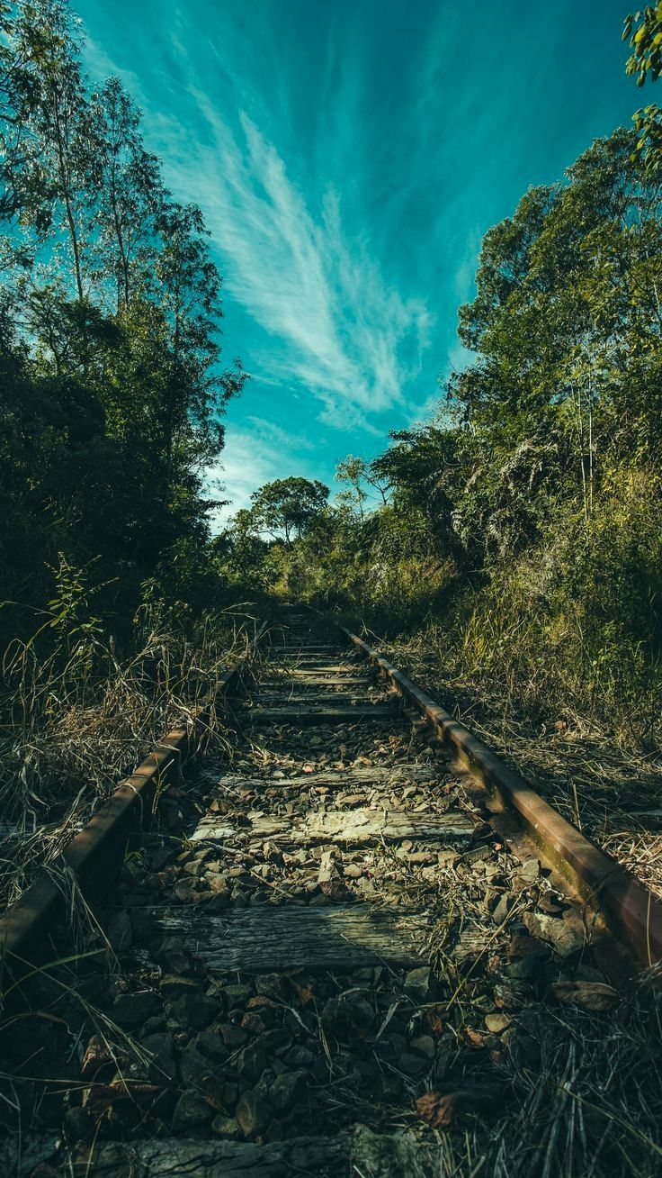 4K Nature Wallpaper Download For Android Trick. Green nature wallpaper, HD nature wallpaper, Best nature wallpaper