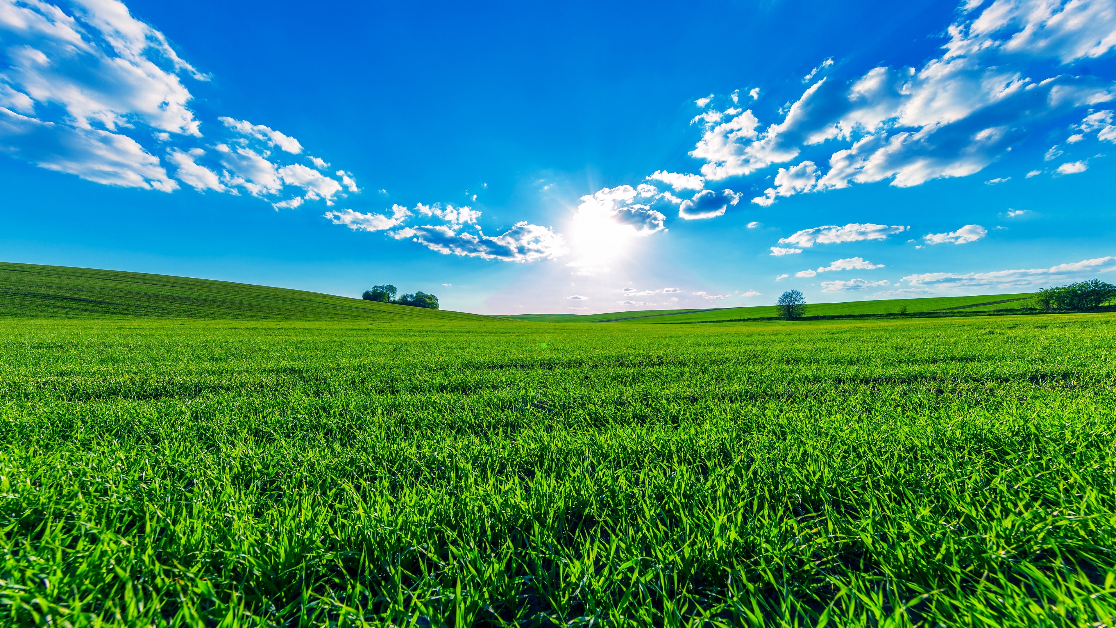 Grass, Landscape, Nature, Sky, Sun 4k