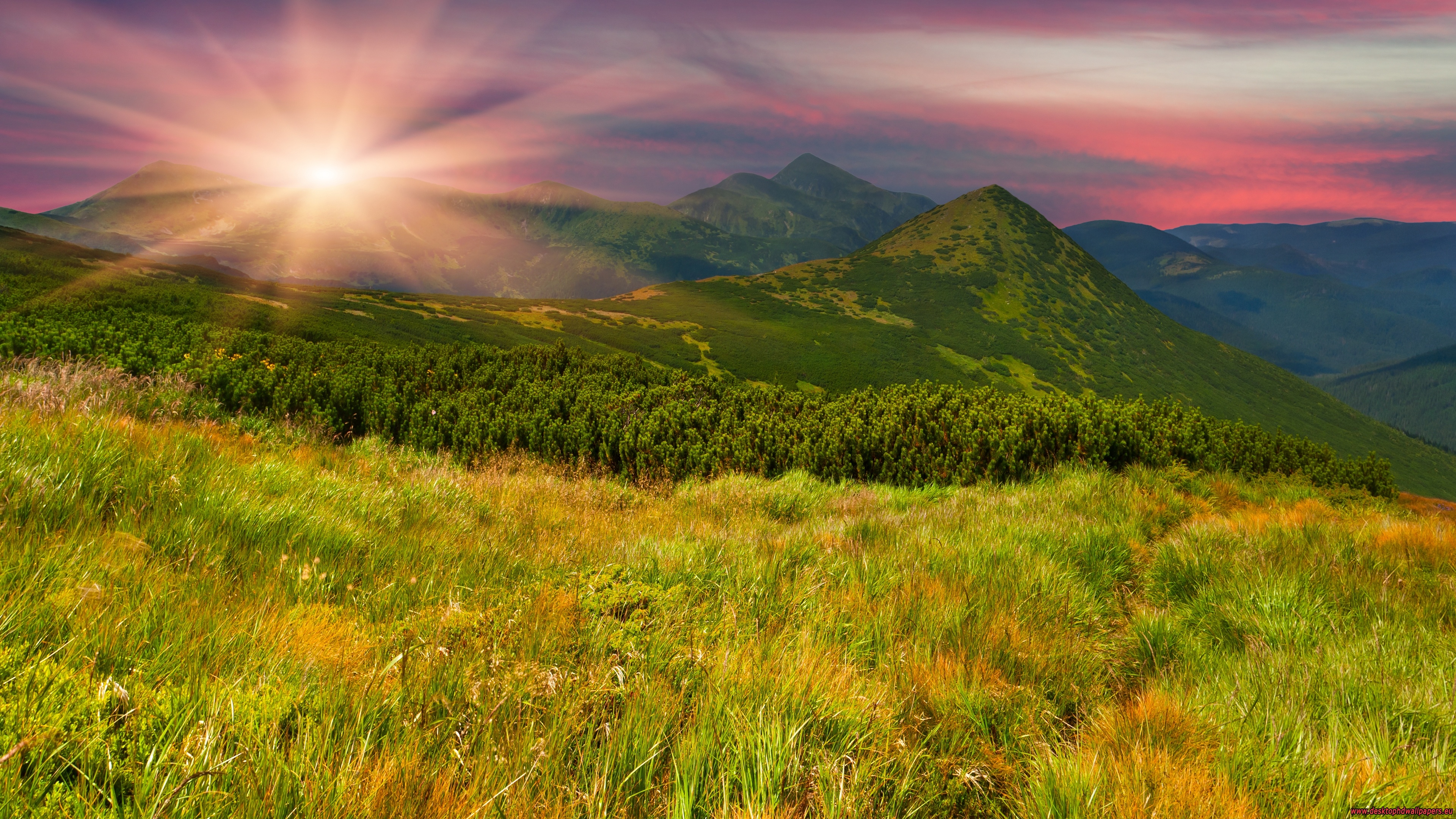Free download com Grass Covered Mountain During Sunrise 4K Wallpaper [3840x2160] for your Desktop, Mobile & Tablet. Explore 4K Wallpaper Grass. Apple Grass Wallpaper, Green Grass Wallpaper, HD Grass Wallpaper