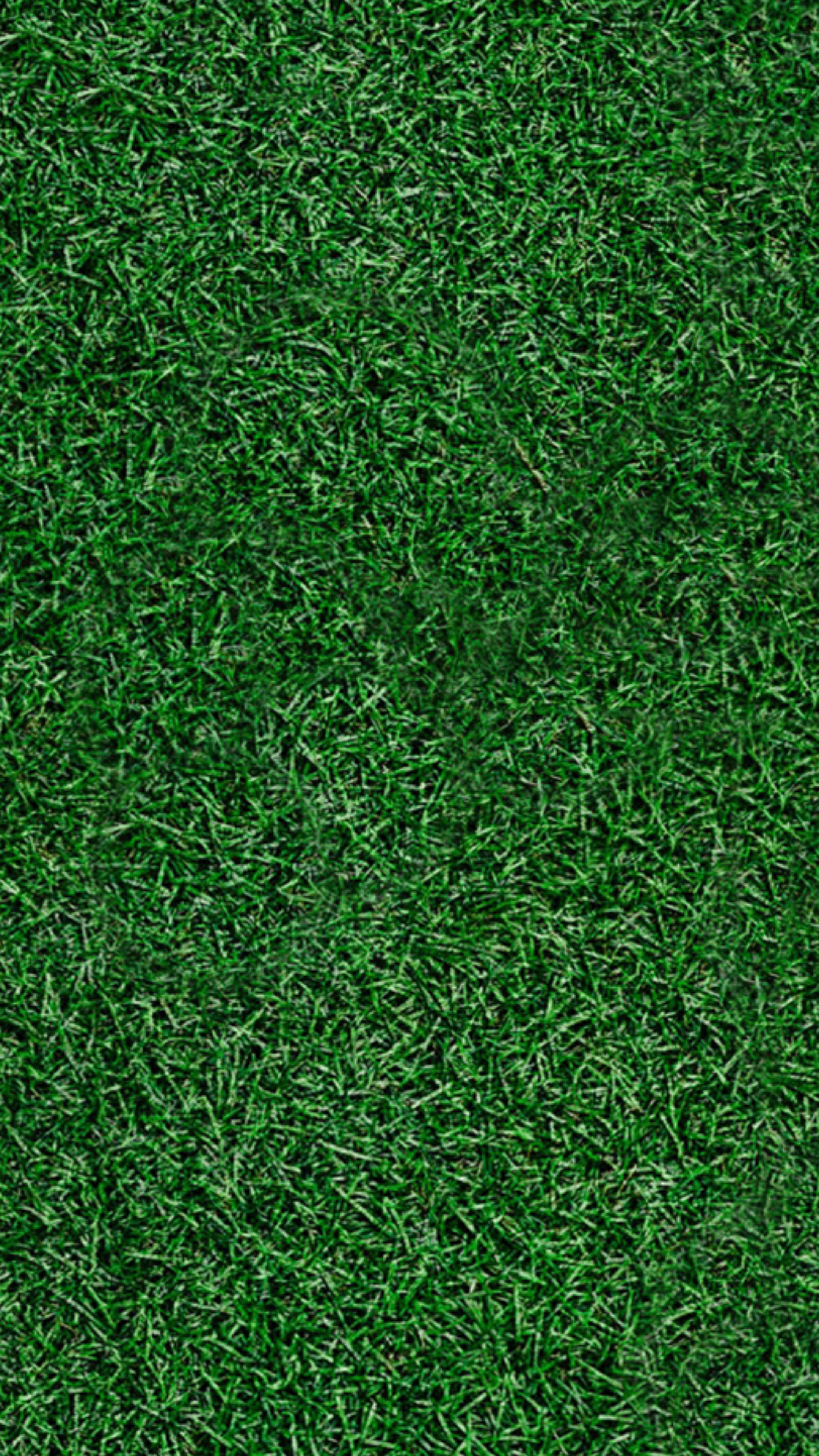 Grass Pitch iPhone Wallpaper