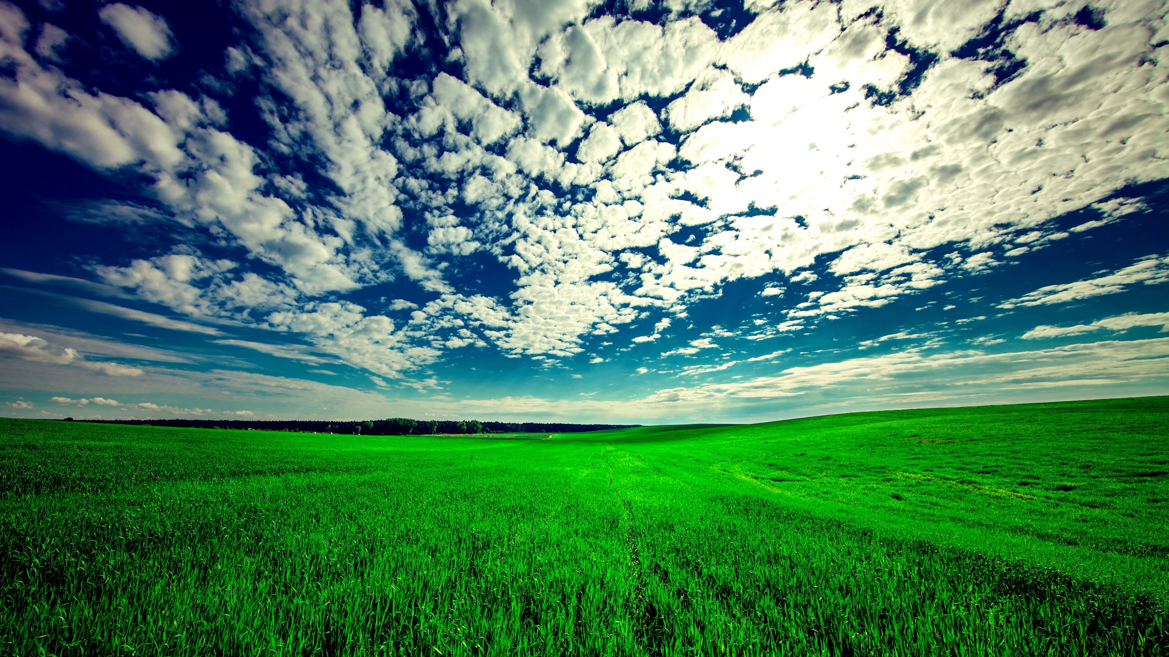 Cloud, Field, Grass, Landscape, Sky 4k Gallery HD Wallpaper
