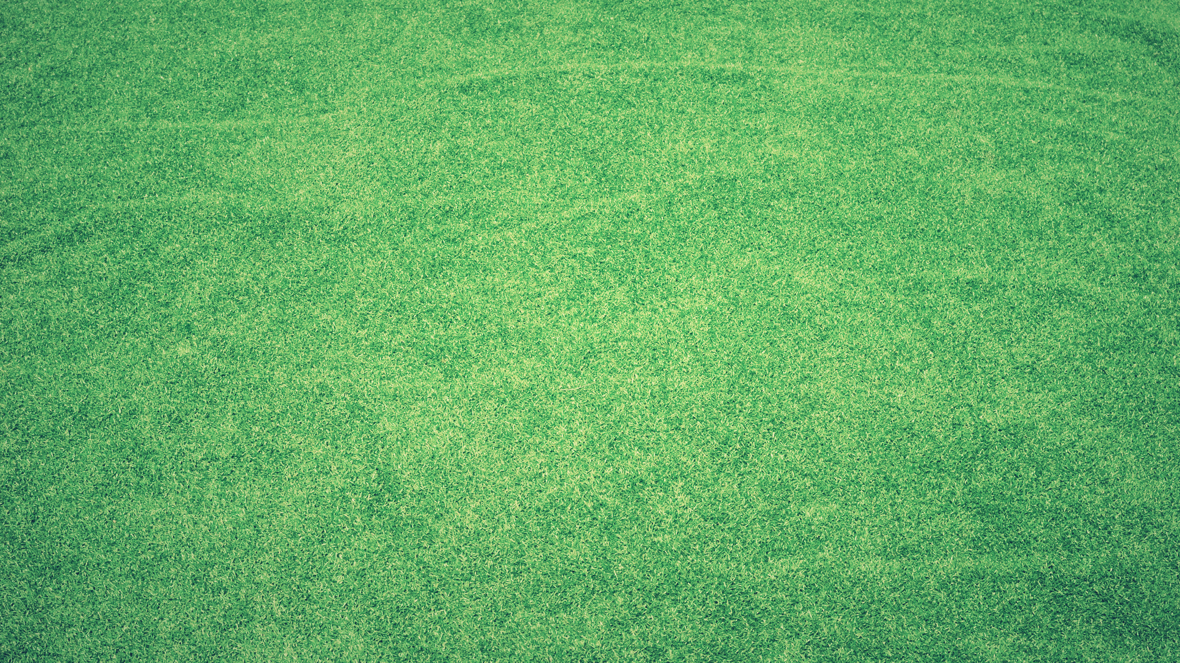 Wallpaper 4k Grass Abstract Background