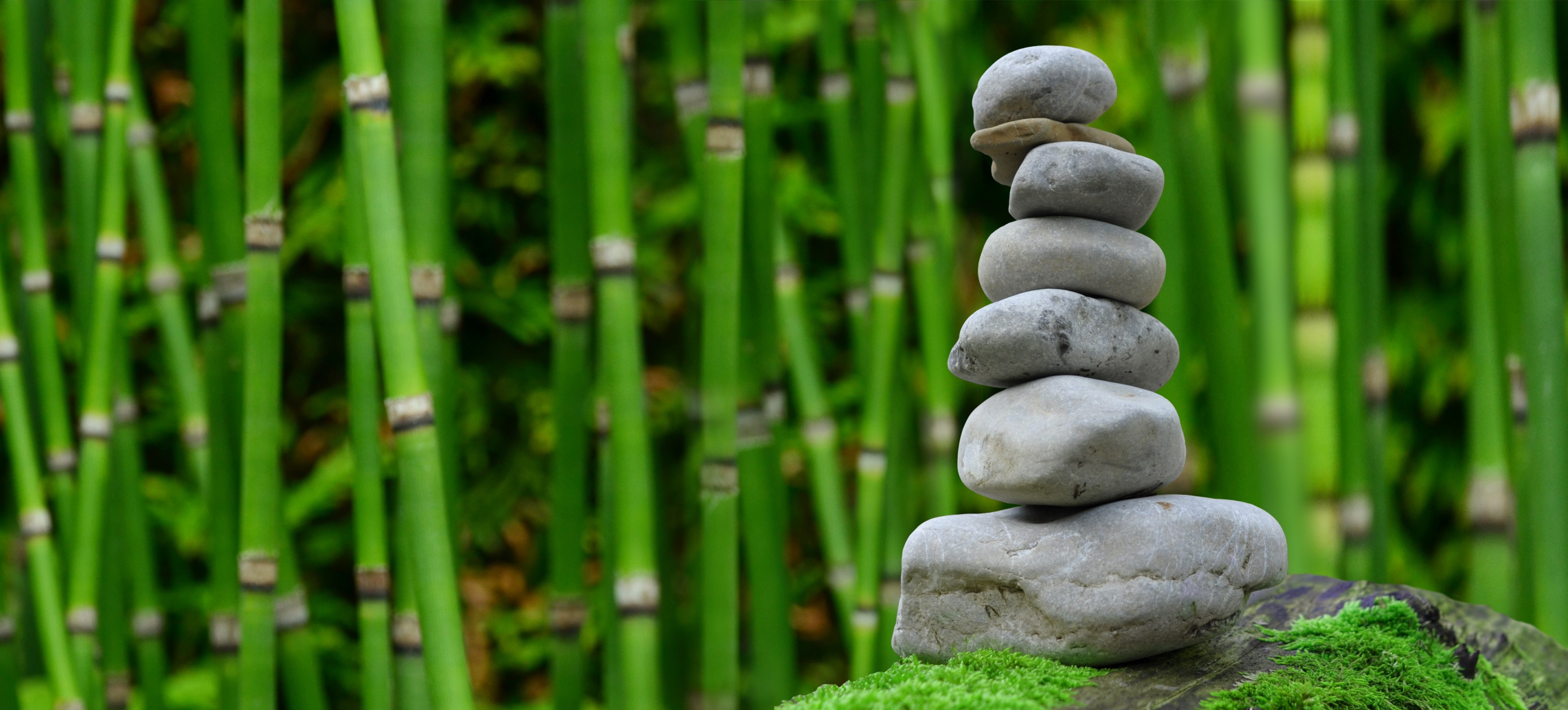Wallpaper / zen garden meditation monk stones bamboo rest 4k wallpaper free download