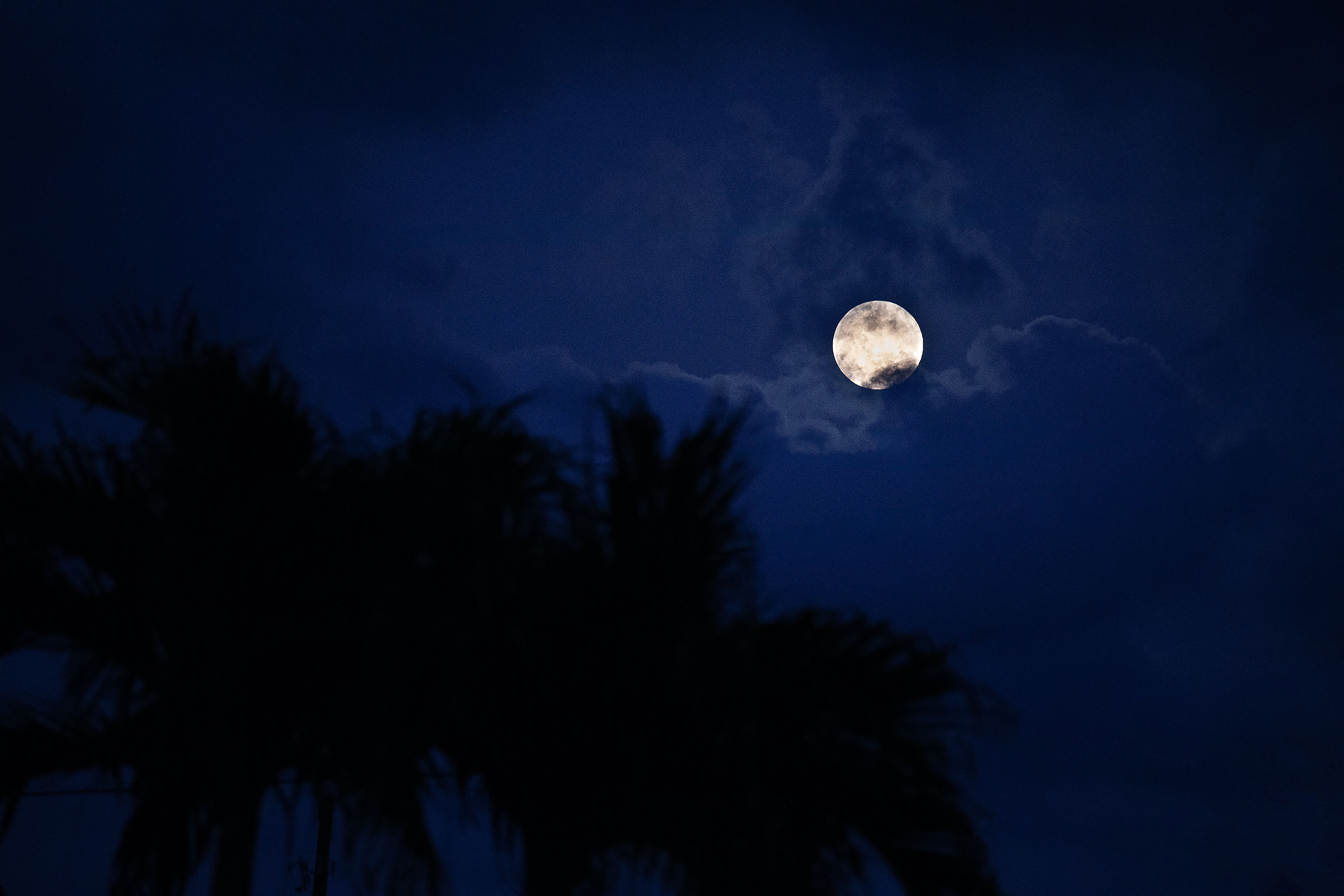 Full Moon Night 4k Full Moon Night 4k wallpaper. Full moon night, Full moon, Moon