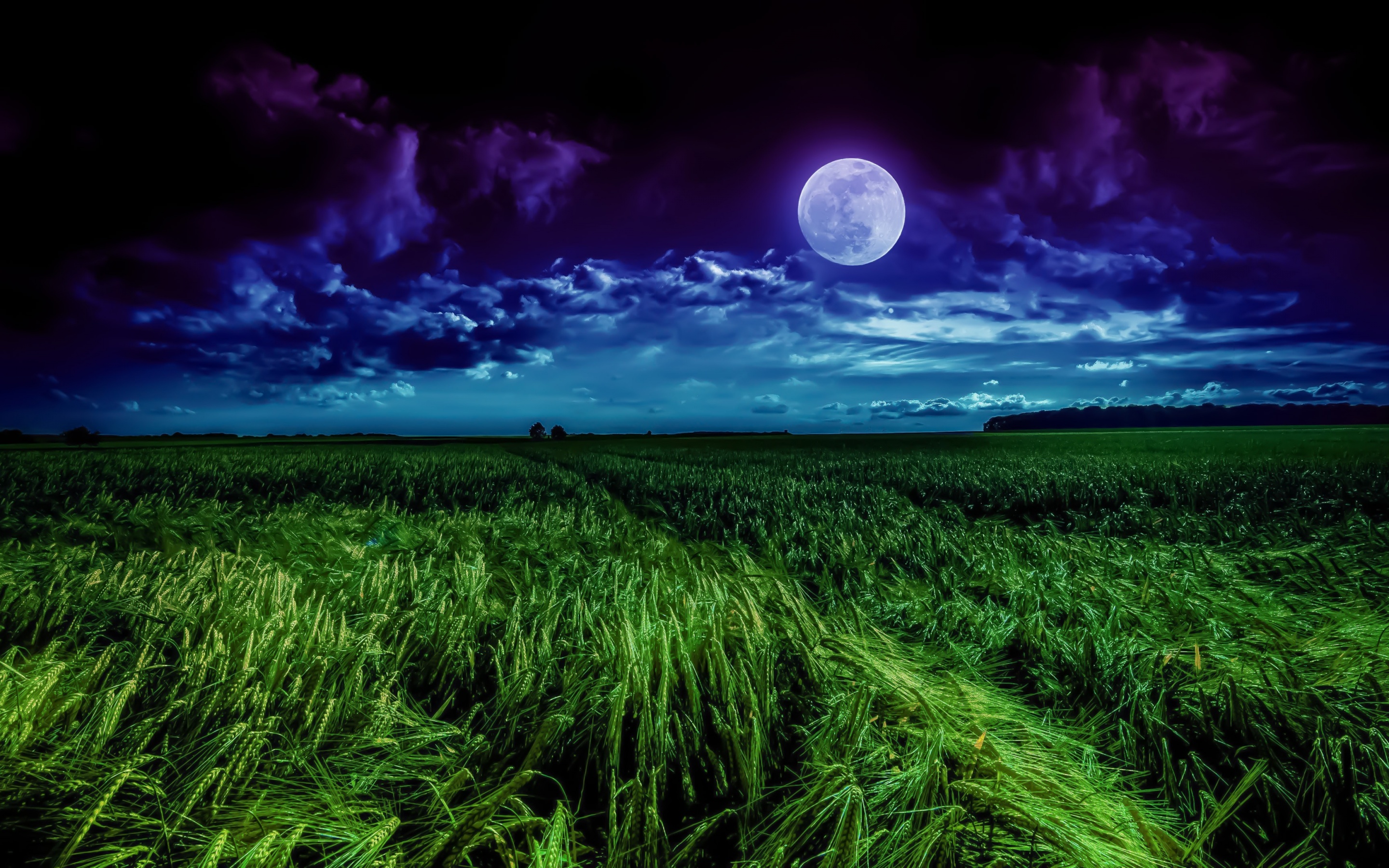 Moon Wallpaper 4K, Landscape, Night, Field, Nature