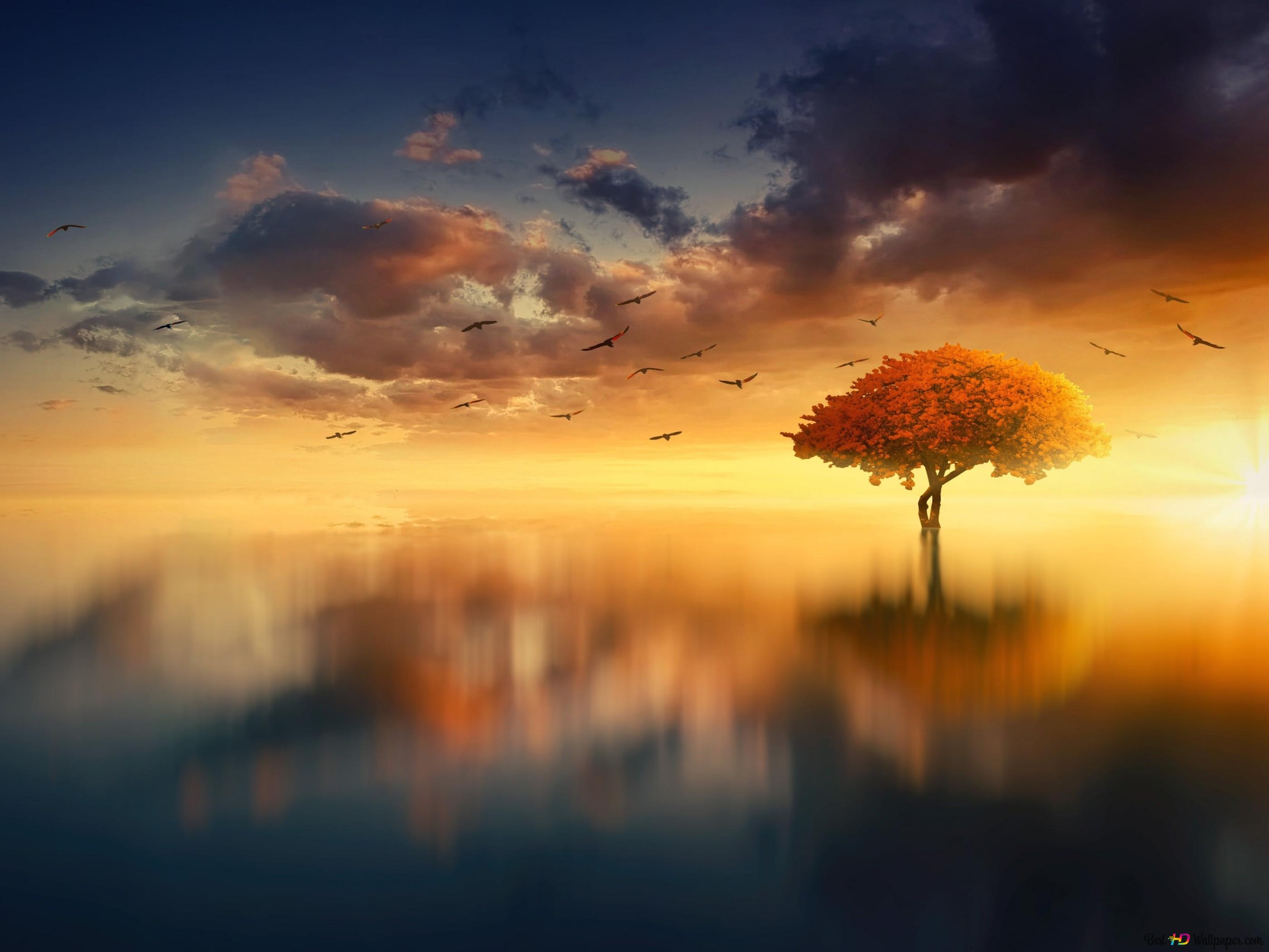Tree, cloud and birds reflected in calm waters 4K wallpaper download