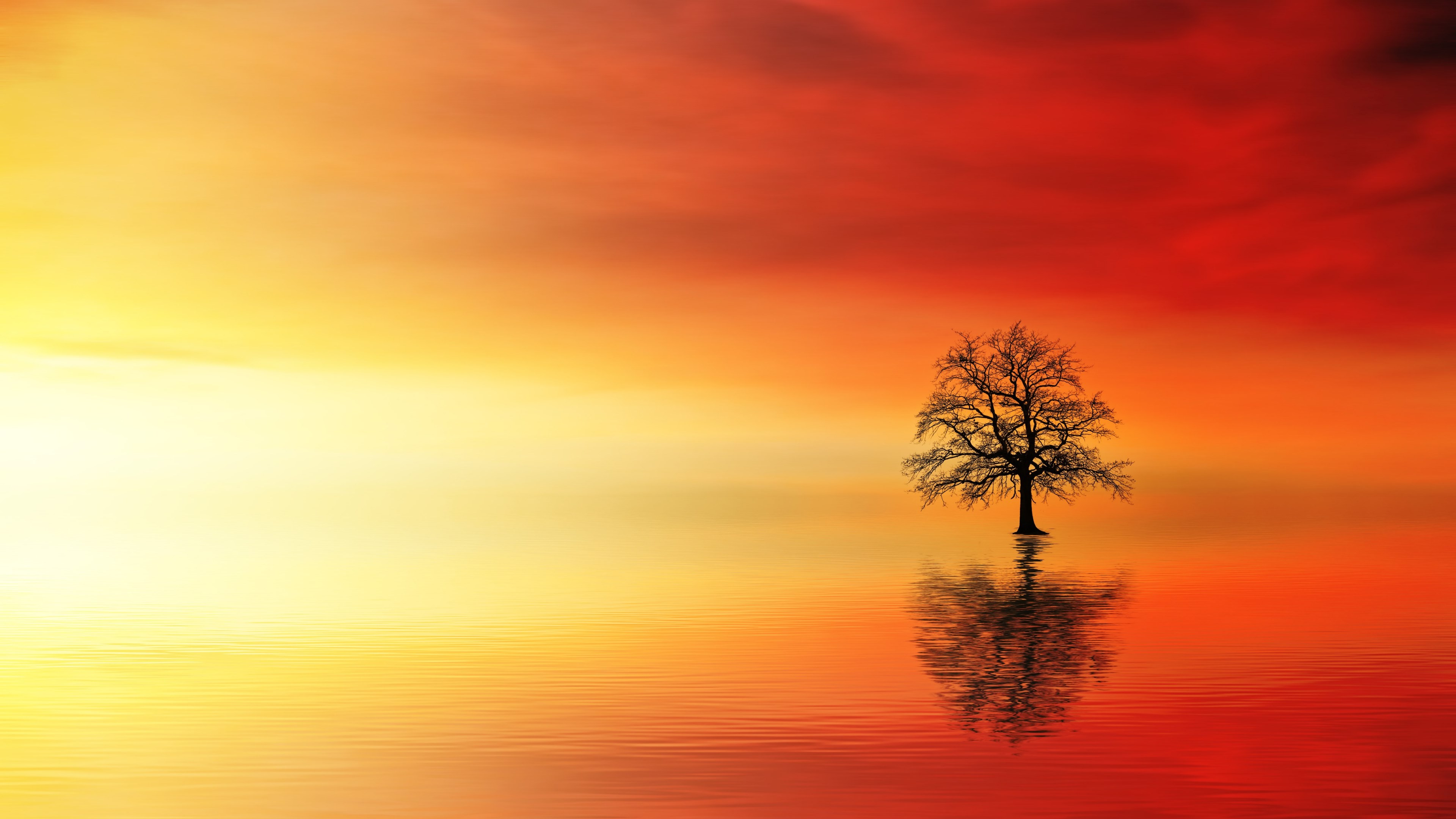Wallpaper / quiet calm sunset and sky HD 4k wallpaper free download