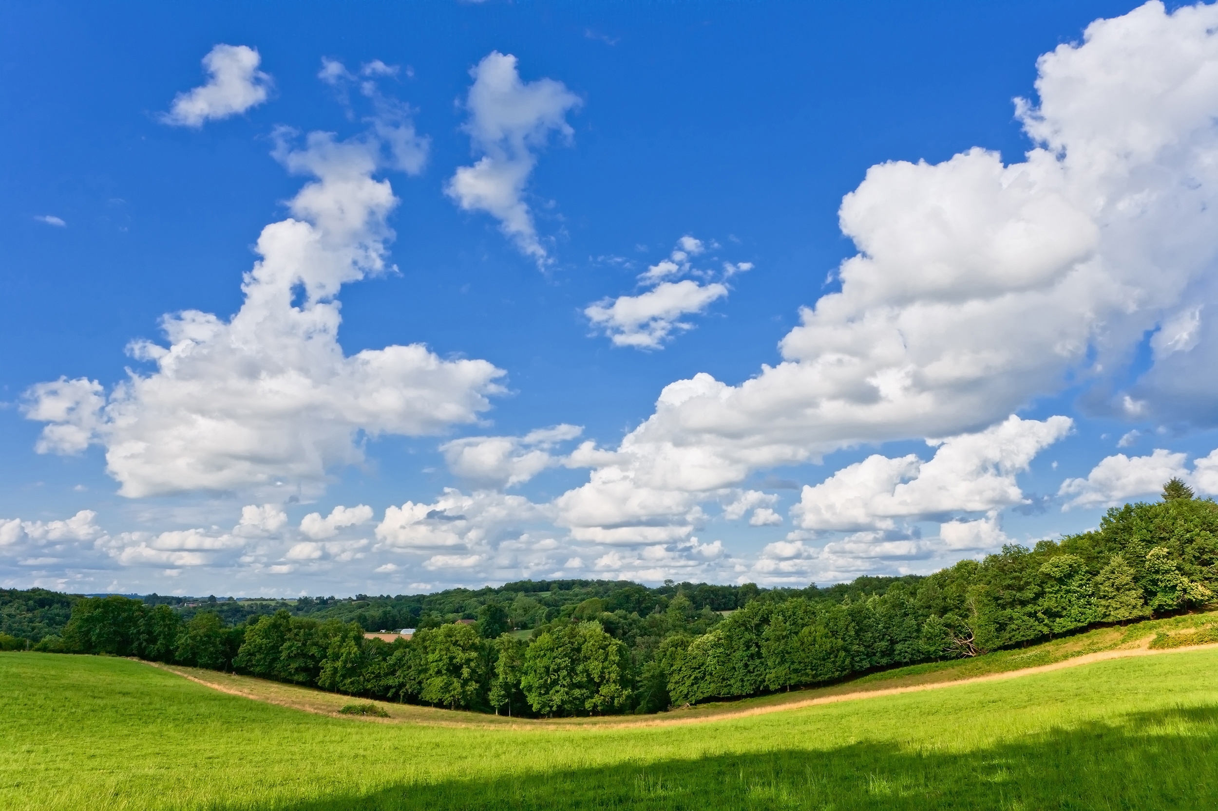 Wallpaper, panorama, meadow, trees, road, summer 2500x1666