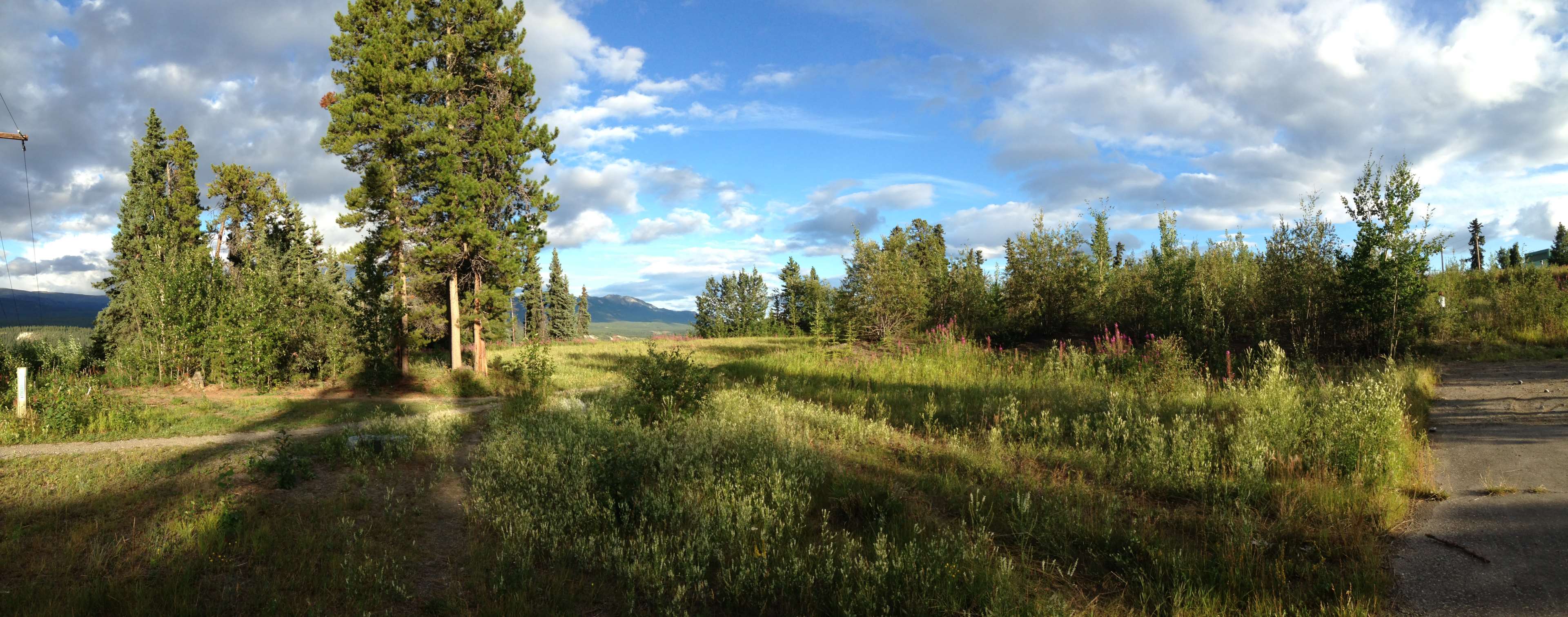 clouds, cloudy skies, nature, panorama, road, summer, sunny day, trees, yukon 4k Gallery HD Wallpaper