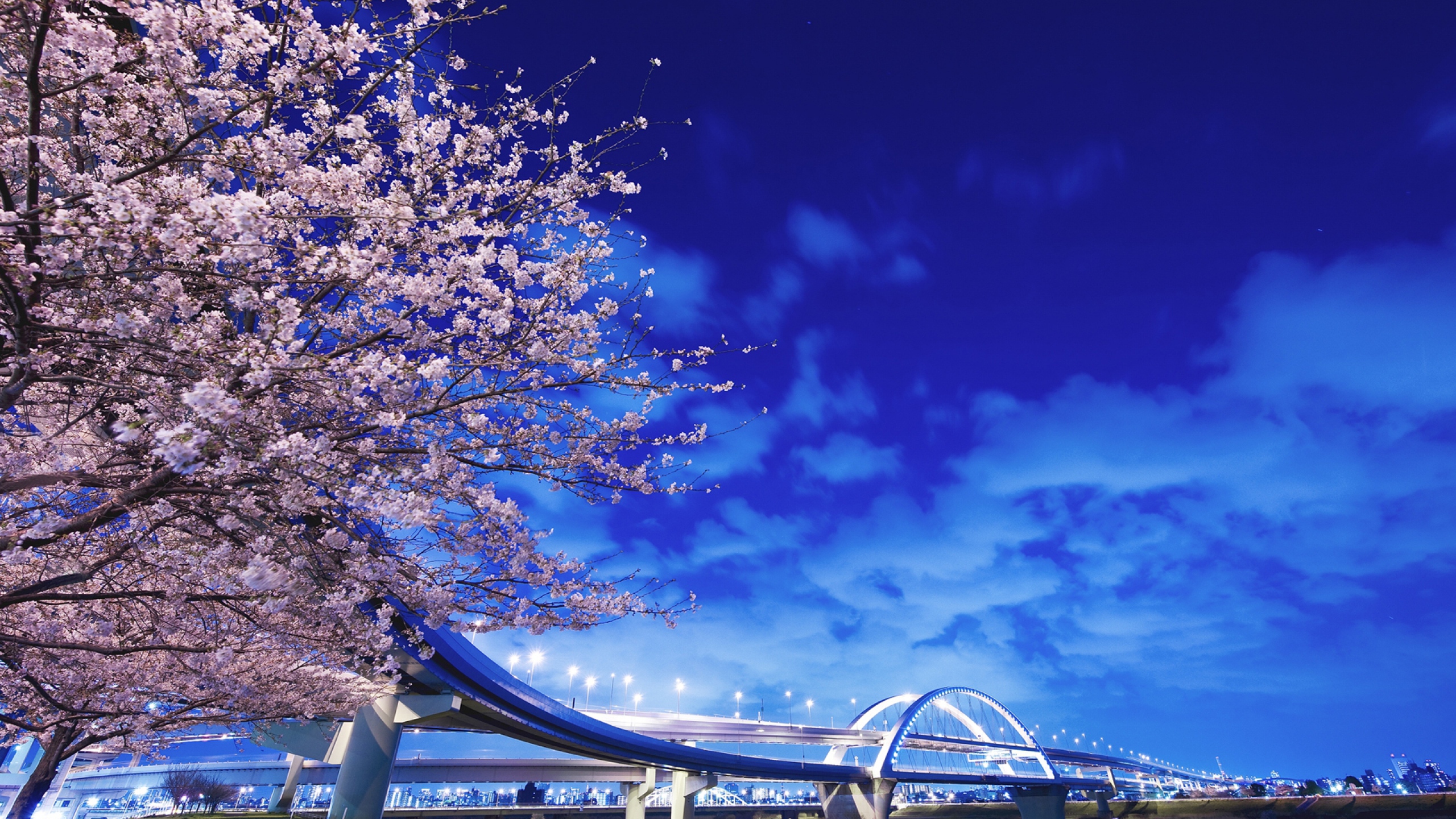 Free download 2560x1440 Wallpaper japan hokkaido bridge sakura [2560x1440] for your Desktop, Mobile & Tablet. Explore iMac Wallpaper 2560x1440. Imac Background, Wallpaper 2560x1440, Imac Wallpaper