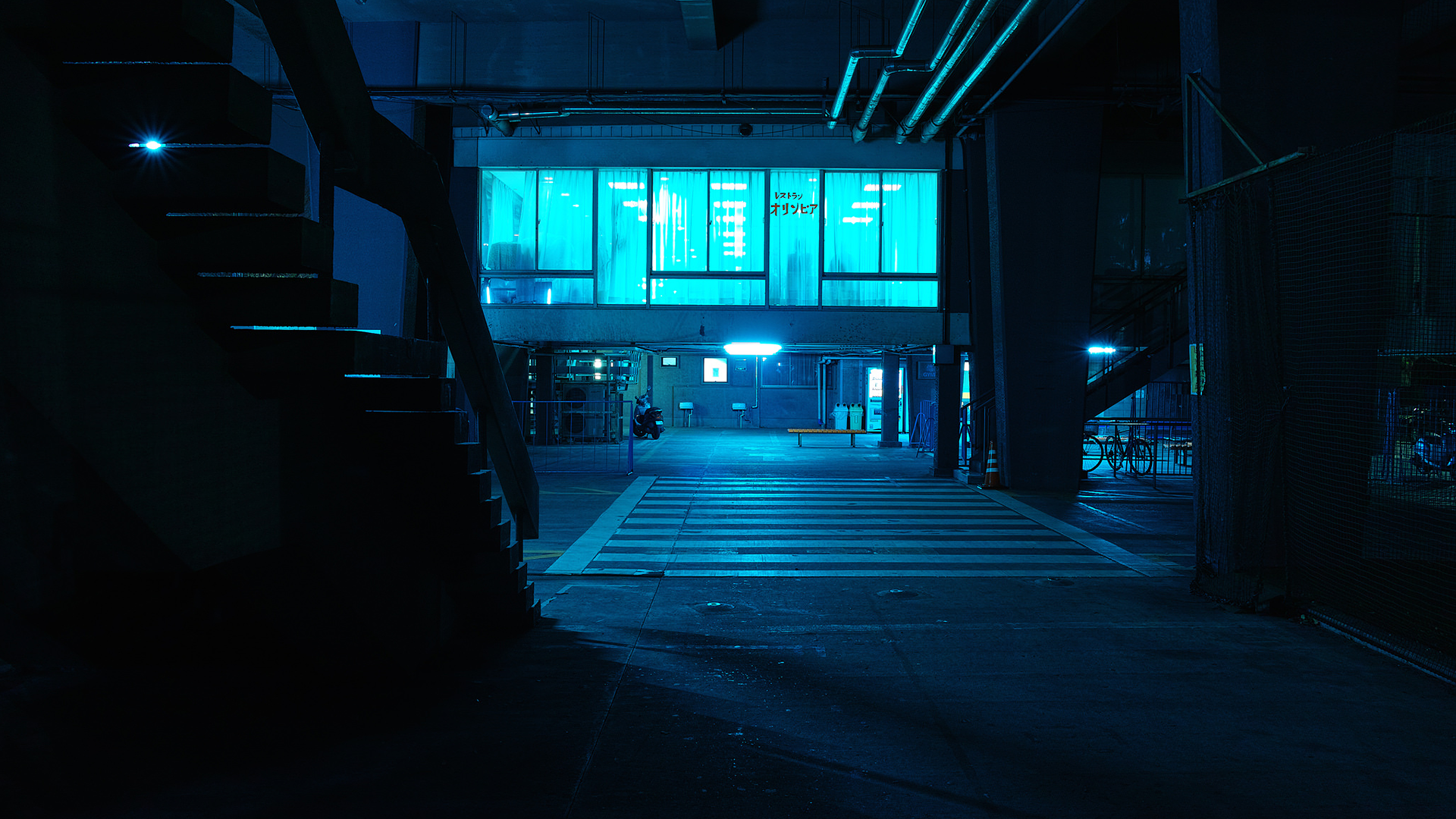 photography, Japan, neon Gallery HD Wallpaper