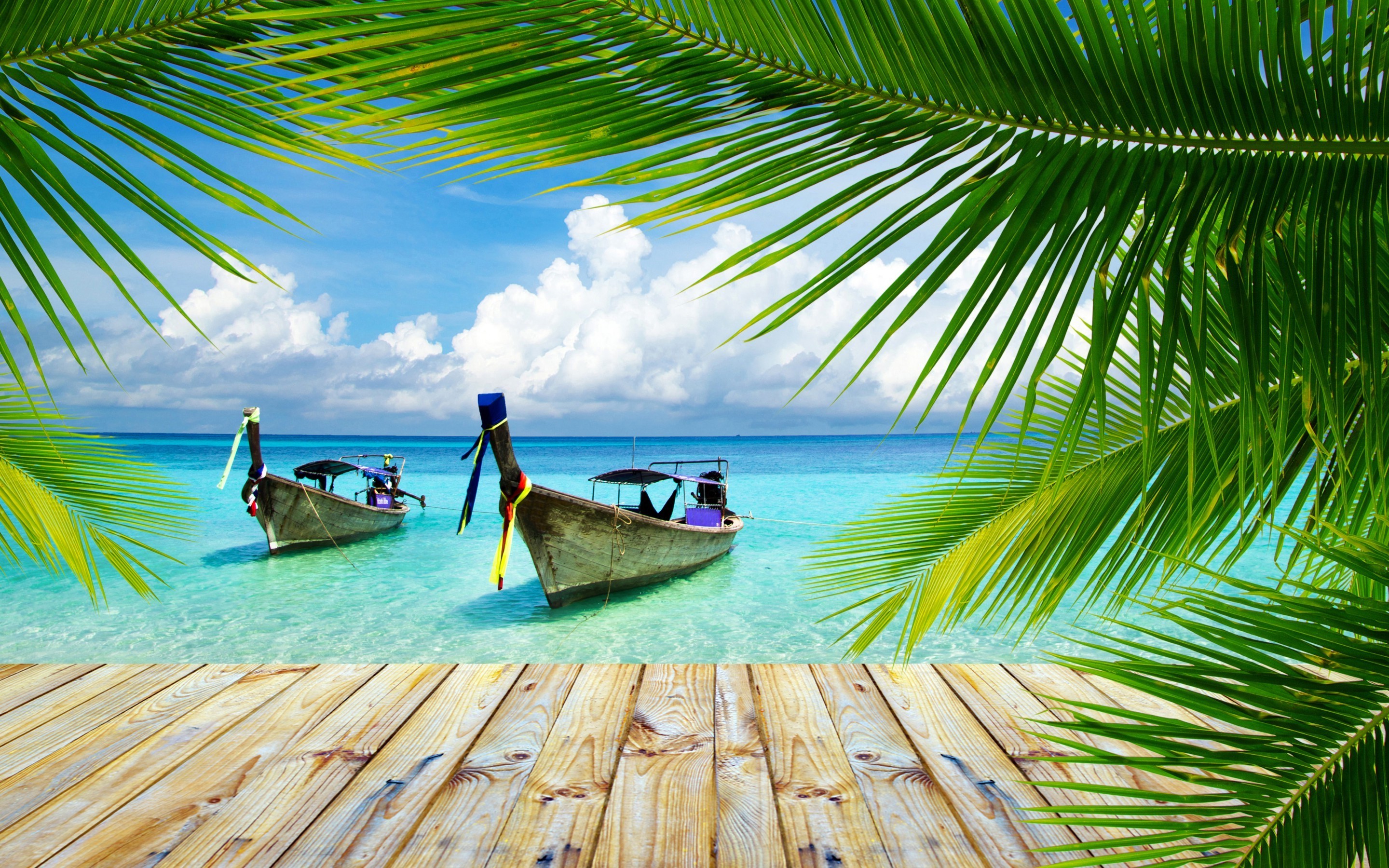 nature landscape beach tropical