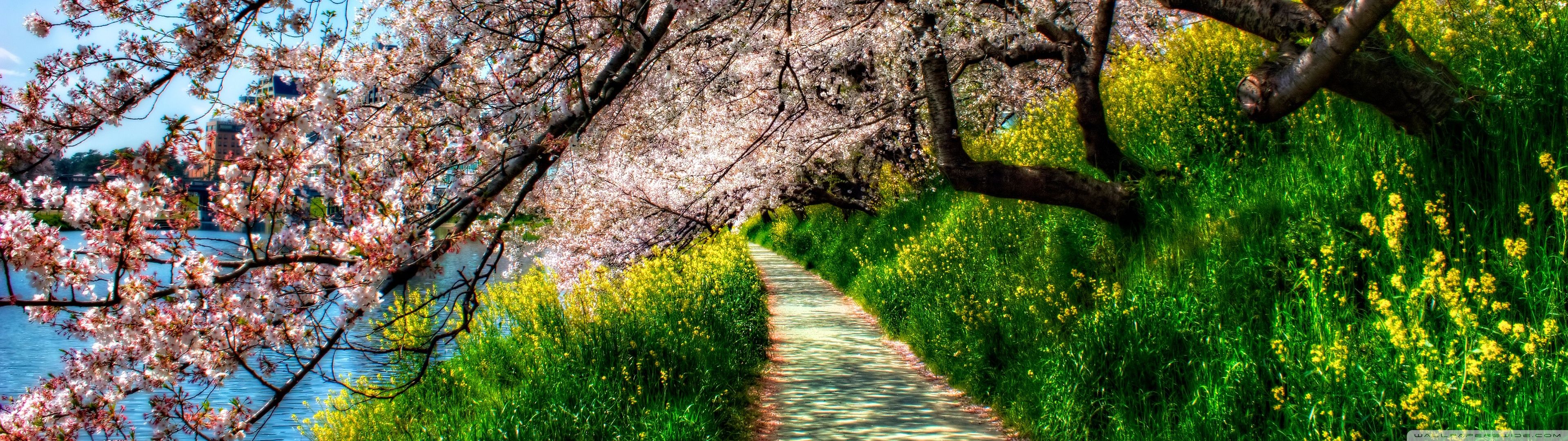 Spring 3840X1080 Wallpaper