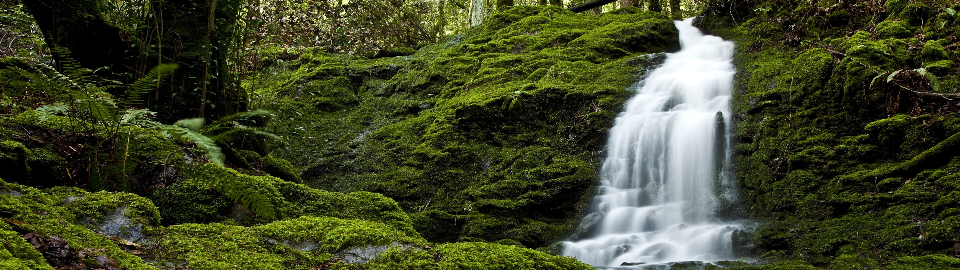 Dual Monitor Nature Wallpapers Wallpaper Cave