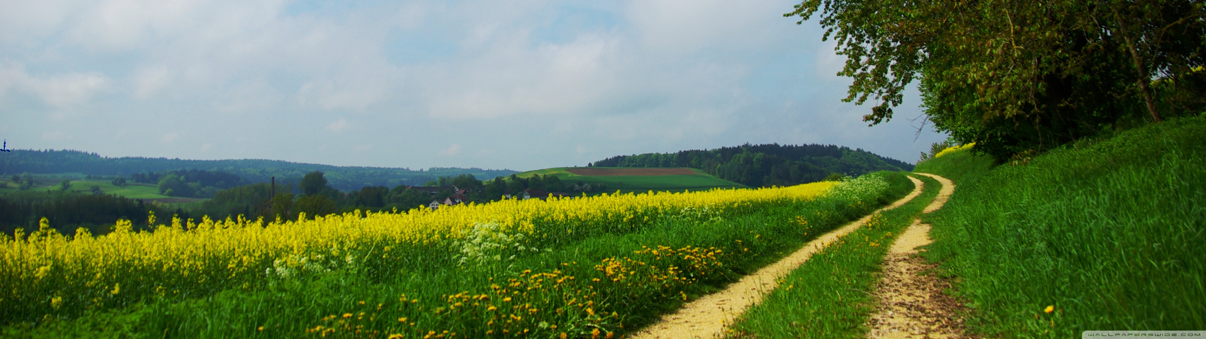 Road On The Hills Summer Ultra HD Desktop Background Wallpaper for: Multi Display, Dual Monitor, Tablet