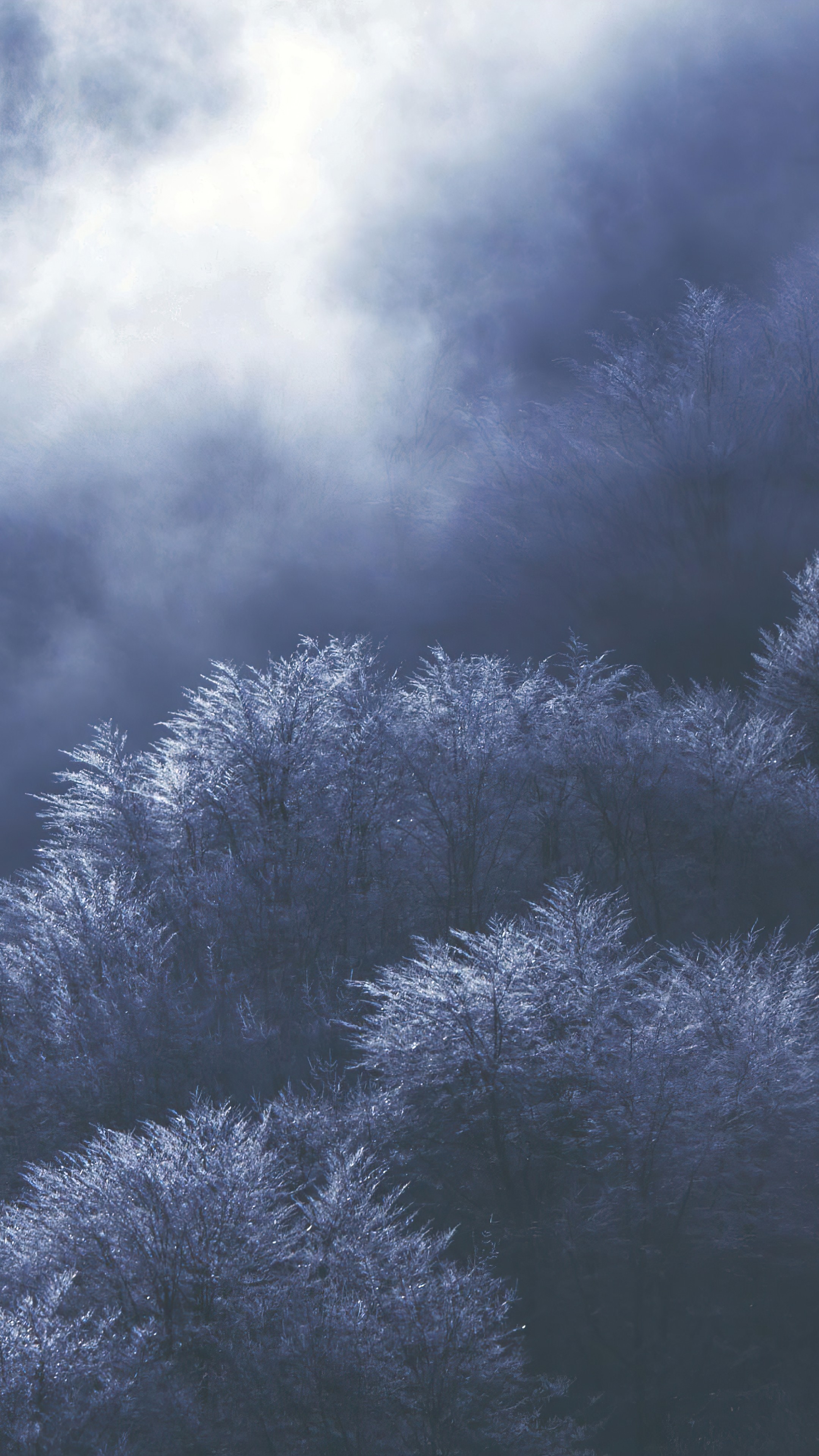 Wallpaper Nokia X30, Android 13, 4K, OS